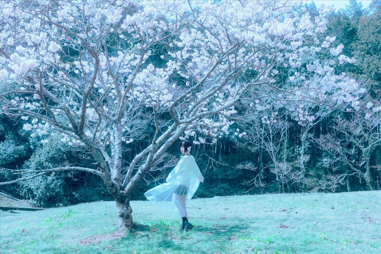 伊莉EE子 - 24年04月訂閱 (3套)113P