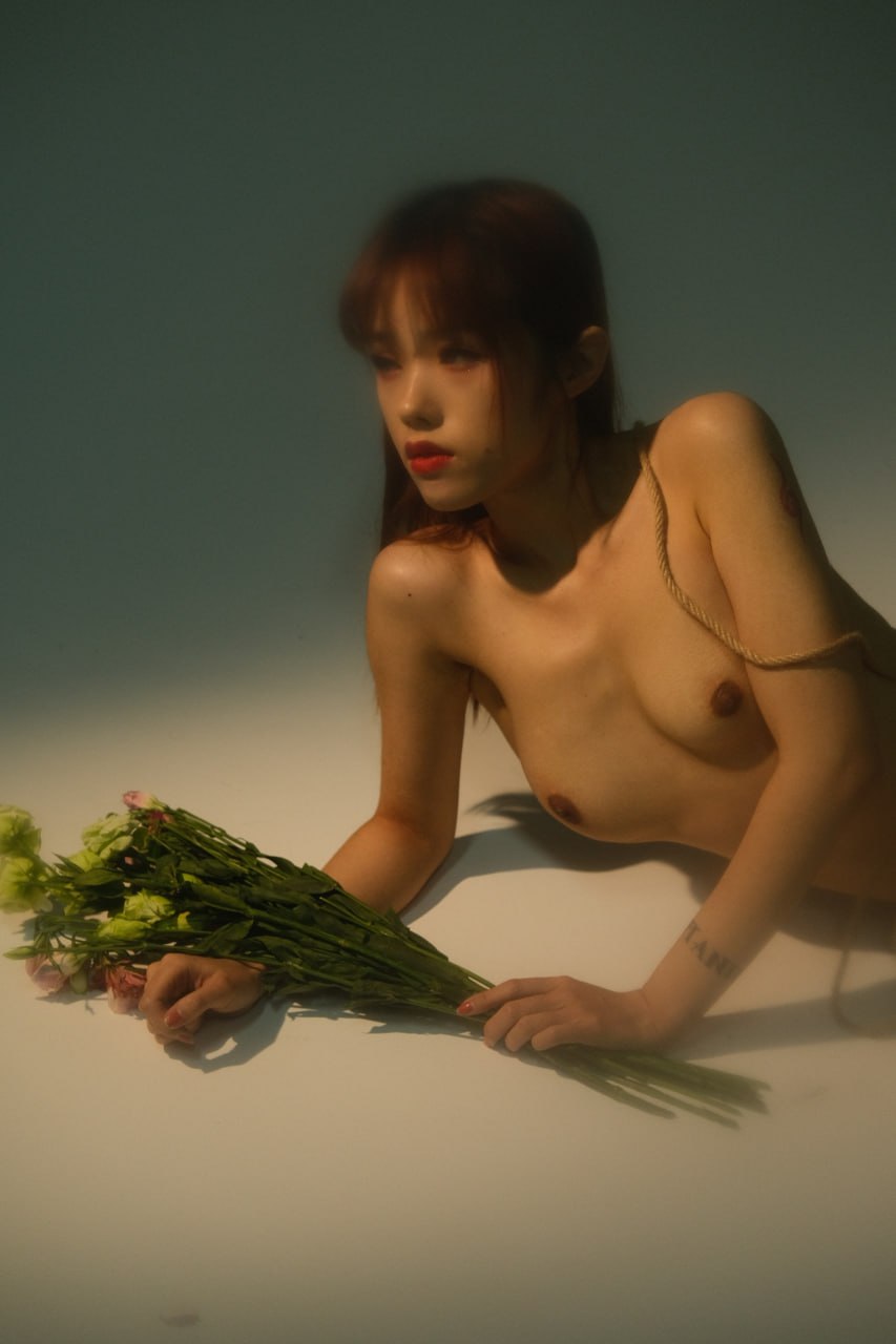 鈦合金蒂蒂 - 夢