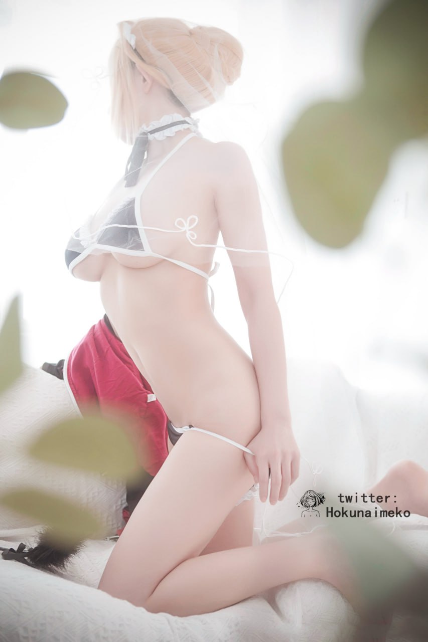 Hokunaimeko - Saber (Fate/Grand Order)