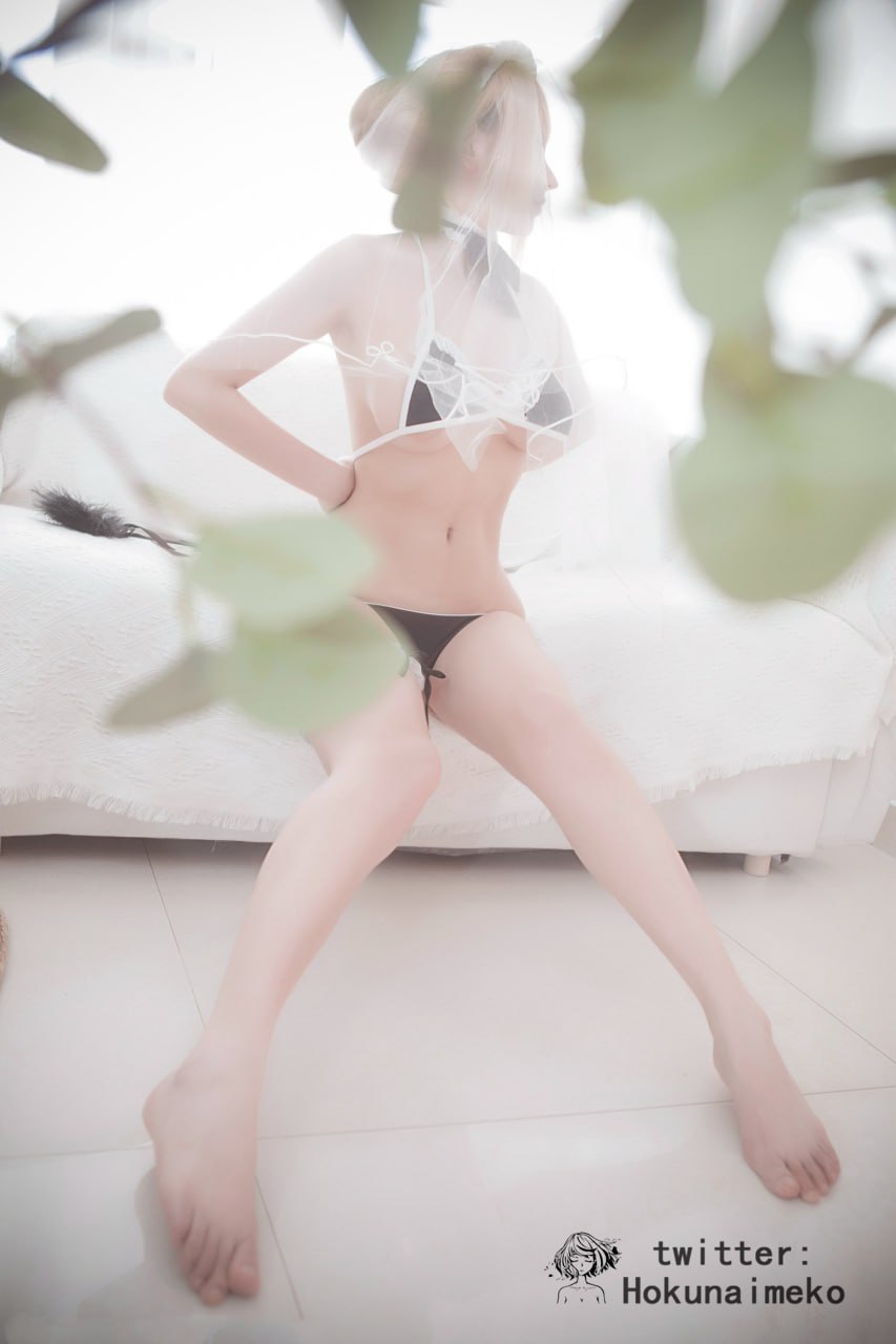 Hokunaimeko - Saber (Fate/Grand Order)