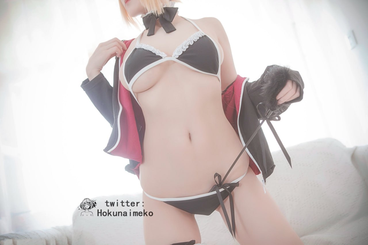 Hokunaimeko - Saber (Fate/Grand Order)