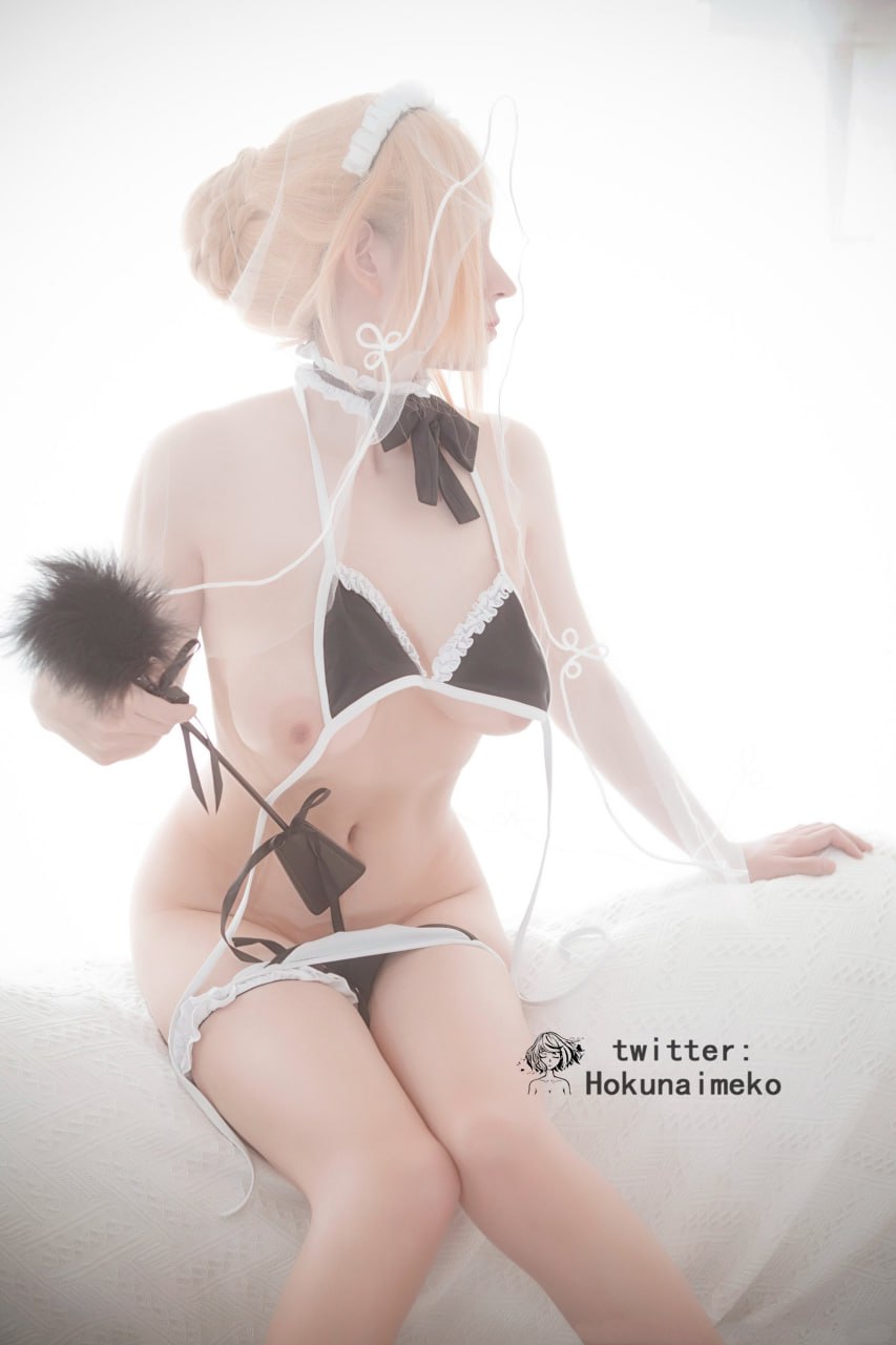 Hokunaimeko - Saber (Fate/Grand Order)