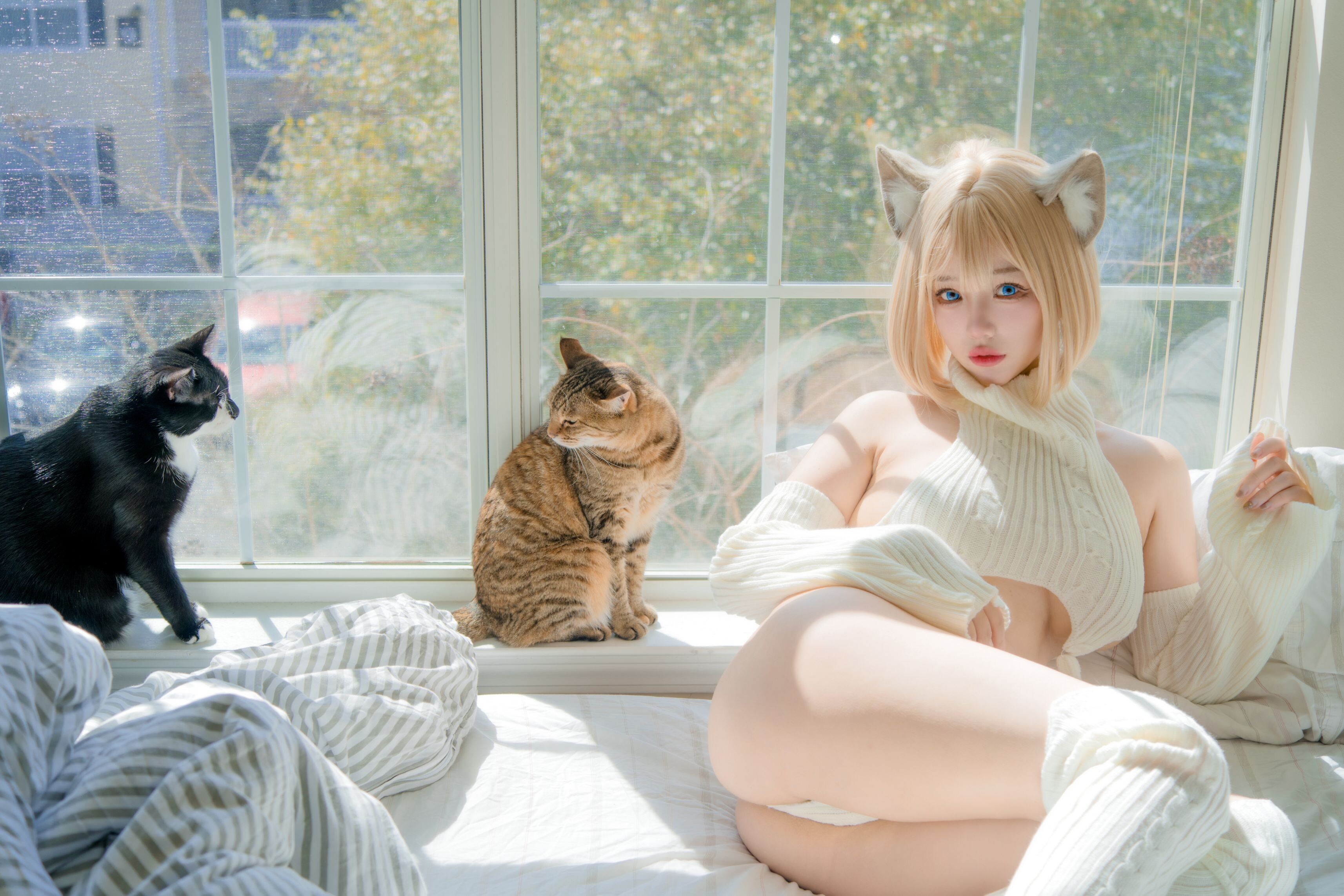 Lolozi - Lazy White Cat