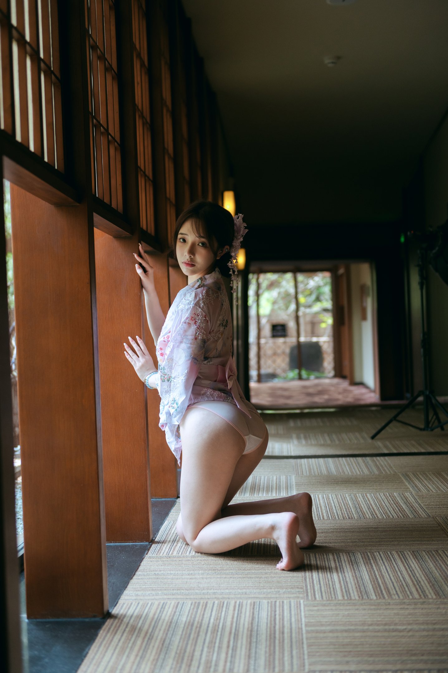 Wenmei Doesn t Make Sense - Japanese-Style Courtyard 68P1V