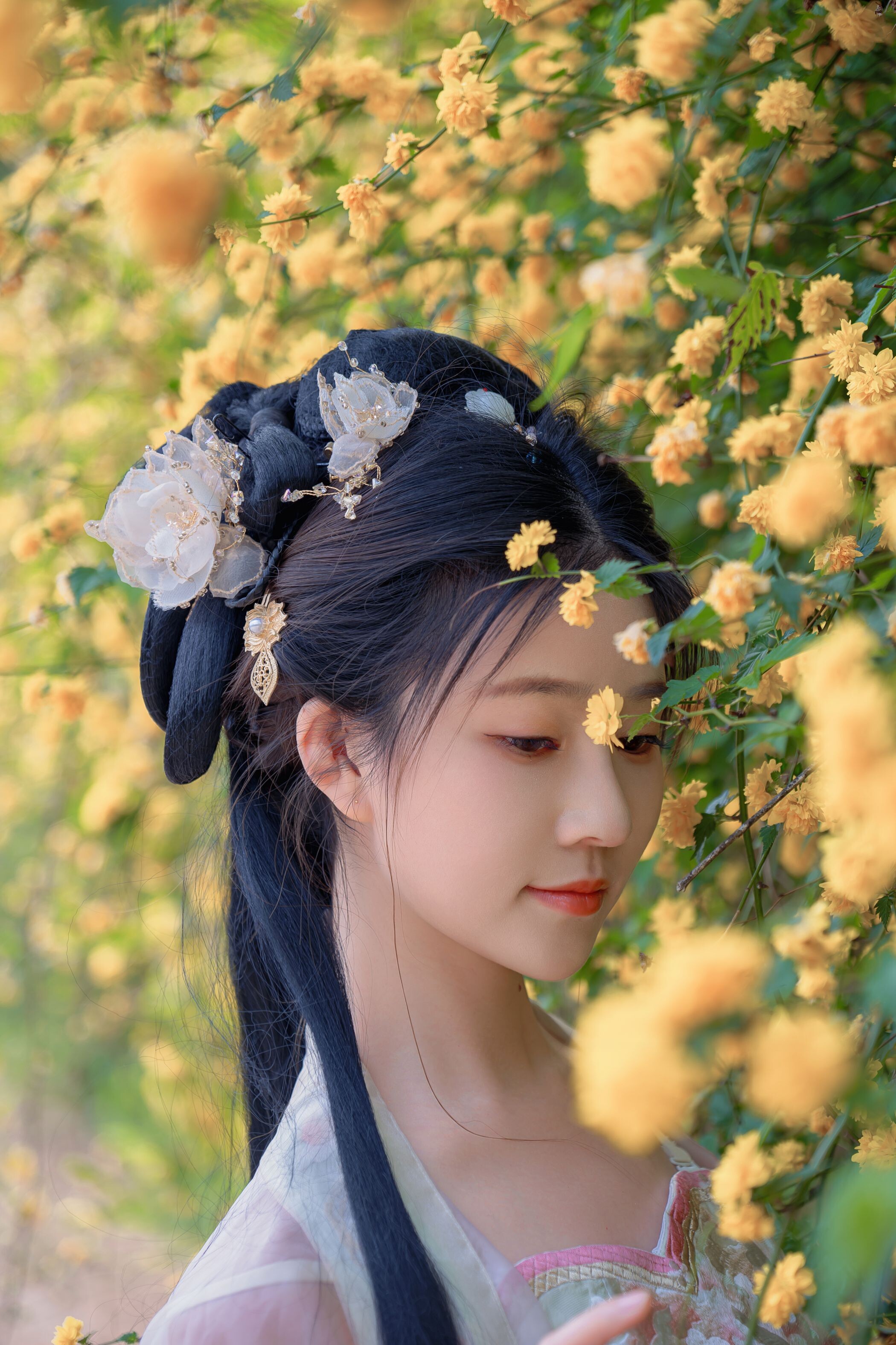 Niannian Nnian Haitang Fairy Outdoor Hanfu Photo Set
