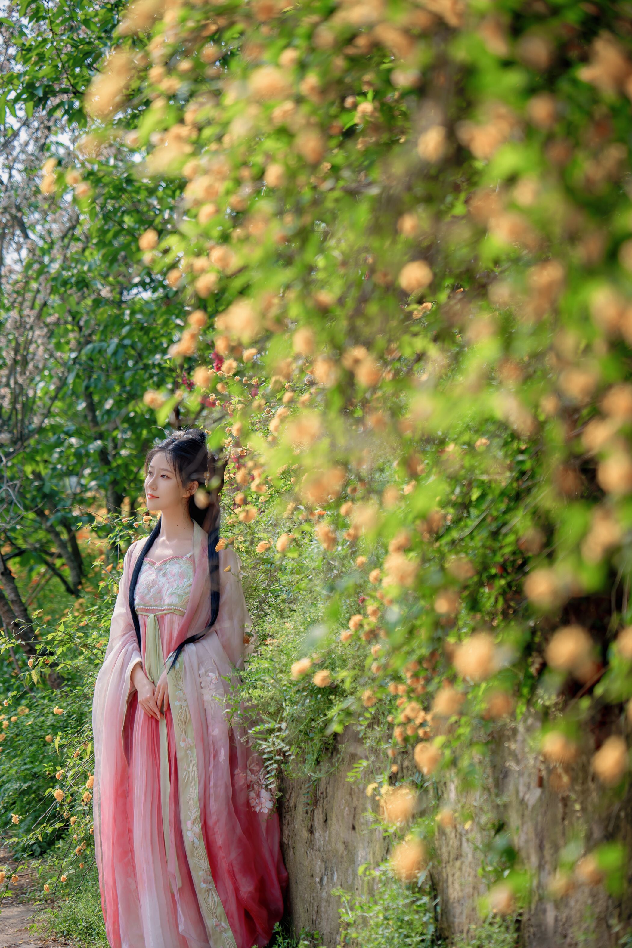 Niannian Nnian Haitang Fairy Outdoor Hanfu Photo Set