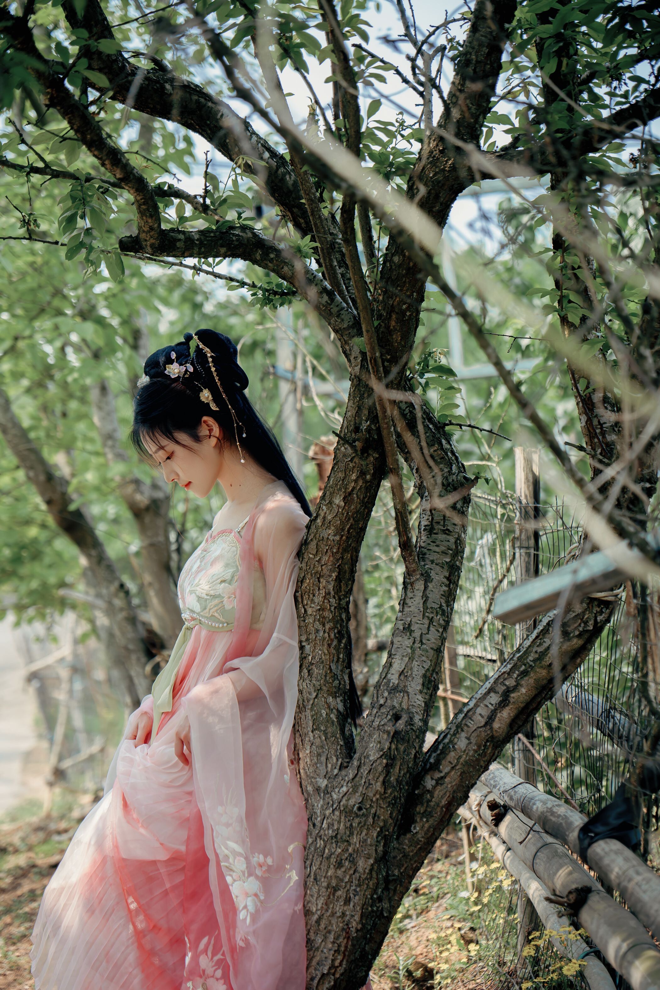 Niannian Nnian Haitang Fairy Outdoor Hanfu Photo Set