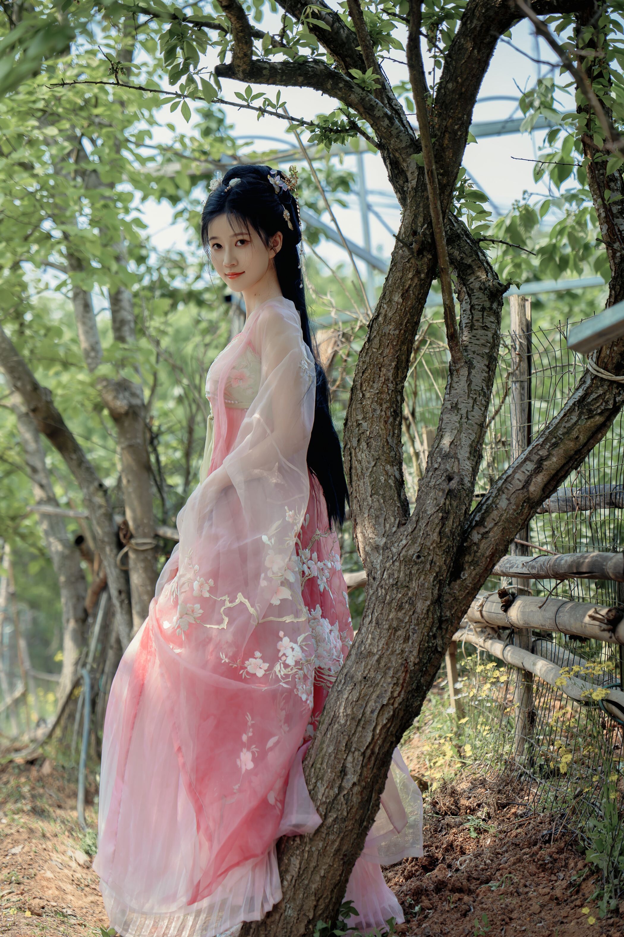 Niannian Nnian Haitang Fairy Outdoor Hanfu Photo Set