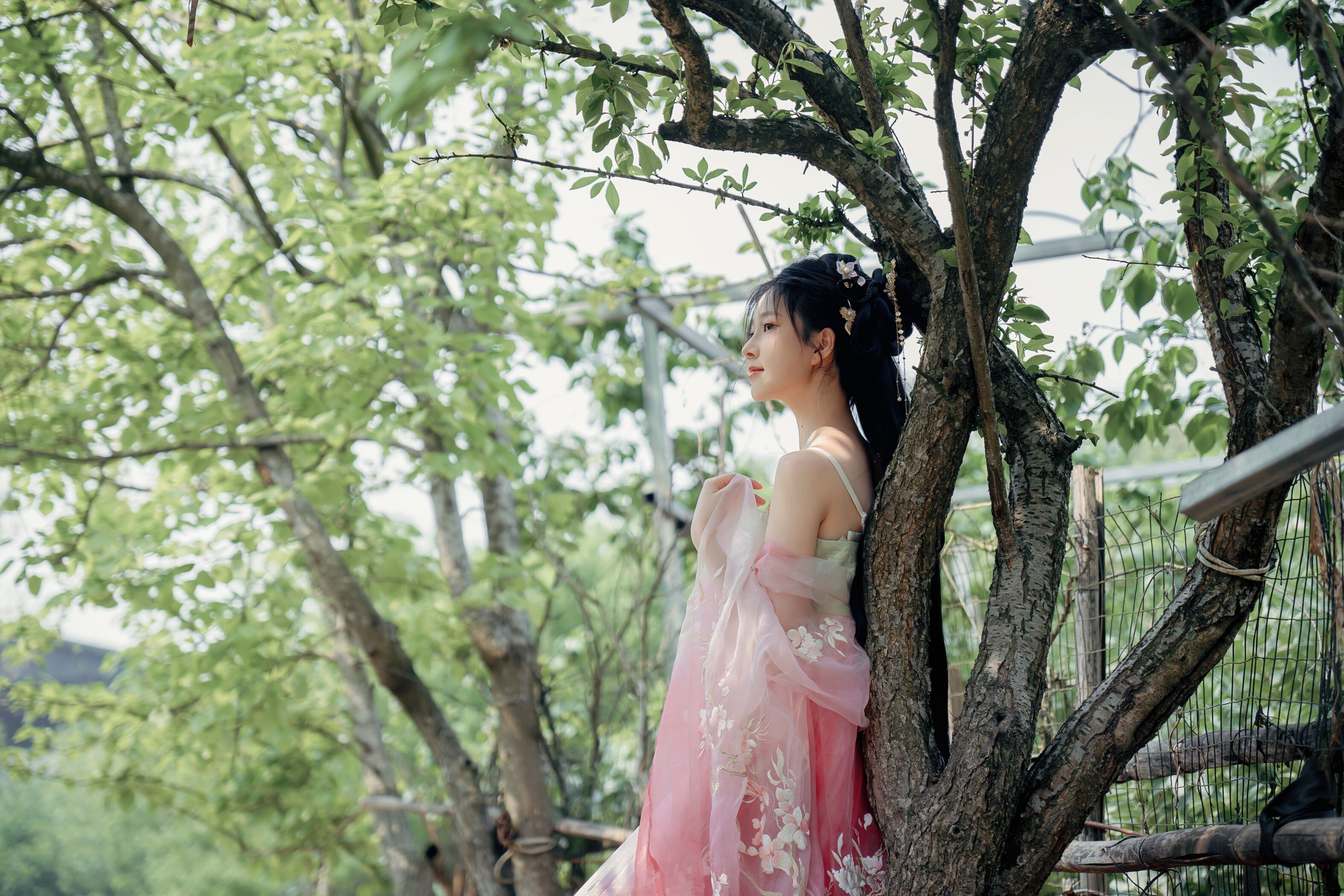 Niannian Nnian Haitang Fairy Outdoor Hanfu Photo Set