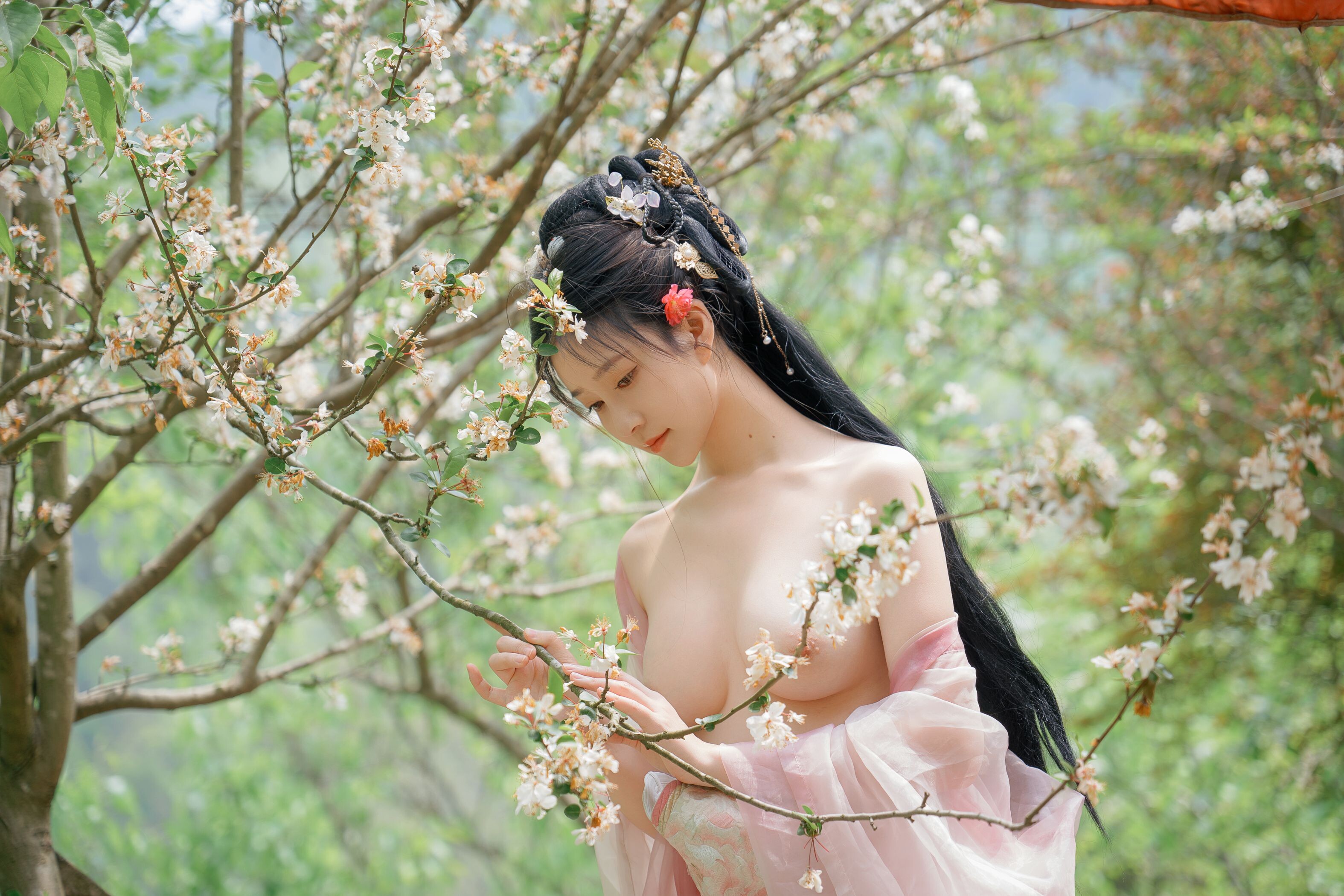 ชุดภาพ Niannian Nnian Haitang Fairy ชุดโบราณกลางแจ้ง