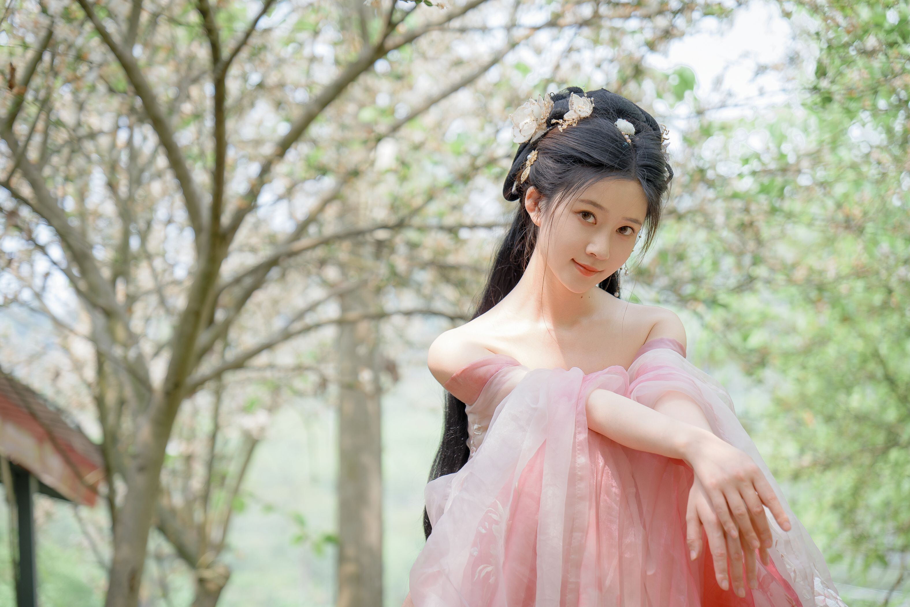 ชุดภาพ Niannian Nnian Haitang Fairy ชุดโบราณกลางแจ้ง