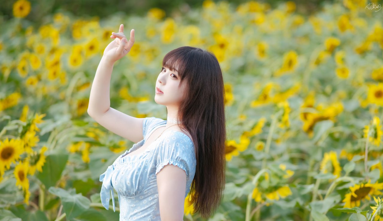 ピピナイ - 彼女向日葵 35P
