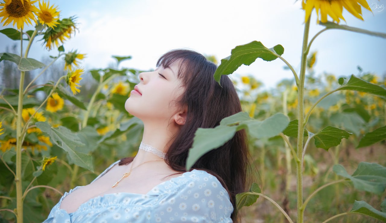 Pi Pi Nai - Cô ấy Hướng Dương 35P