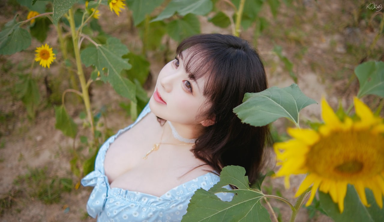 Pi Pi Nai - Cô ấy Hướng Dương 35P