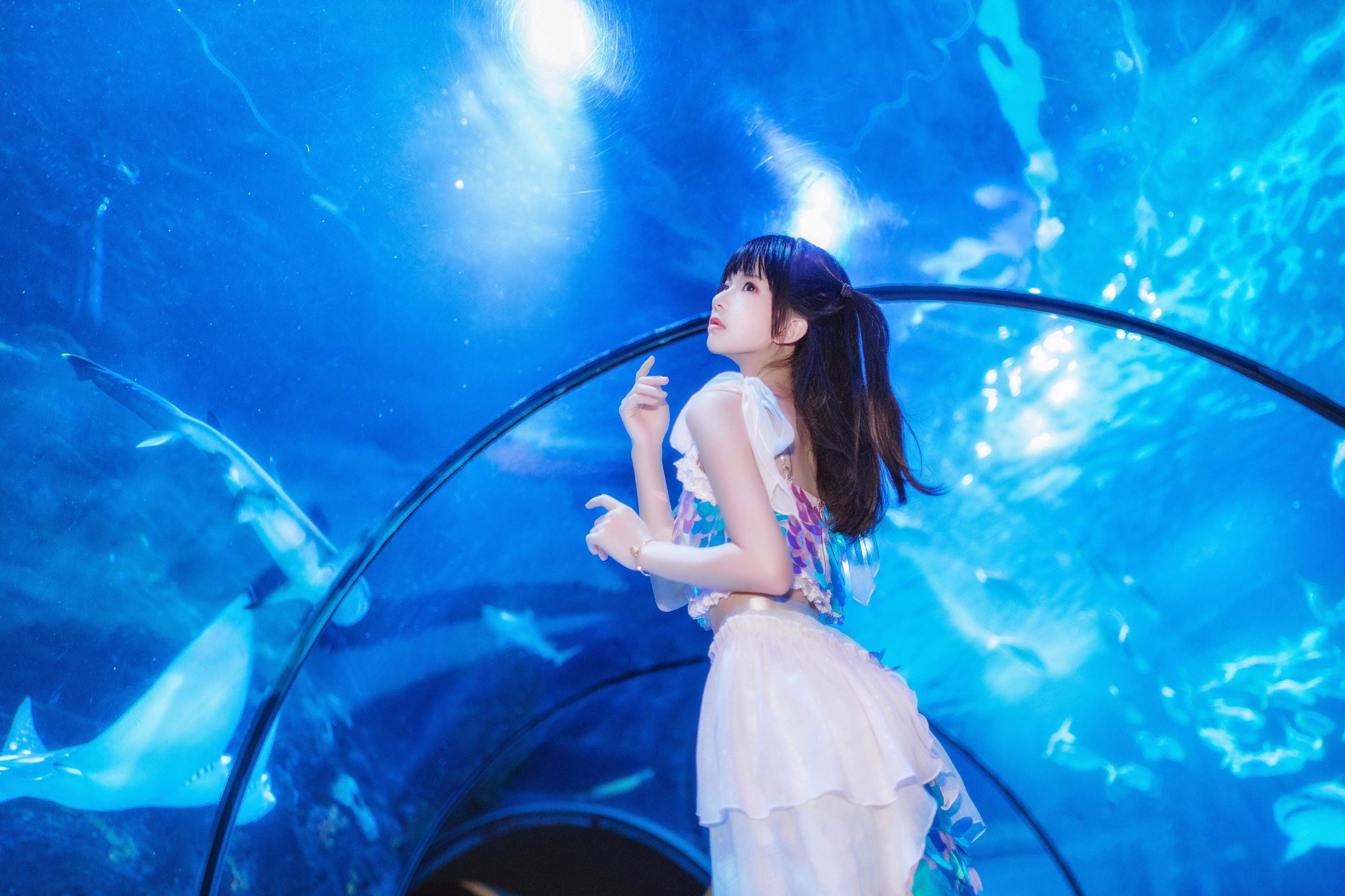 桜桃猫 - 水族館