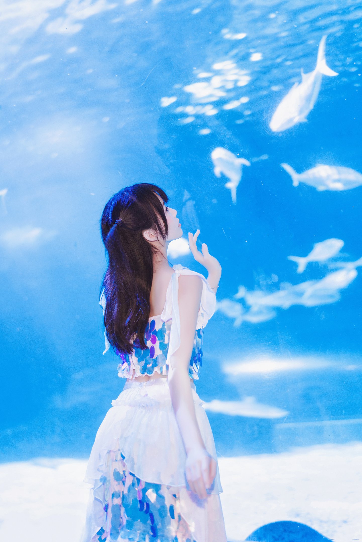 櫻桃喵 - 水族館