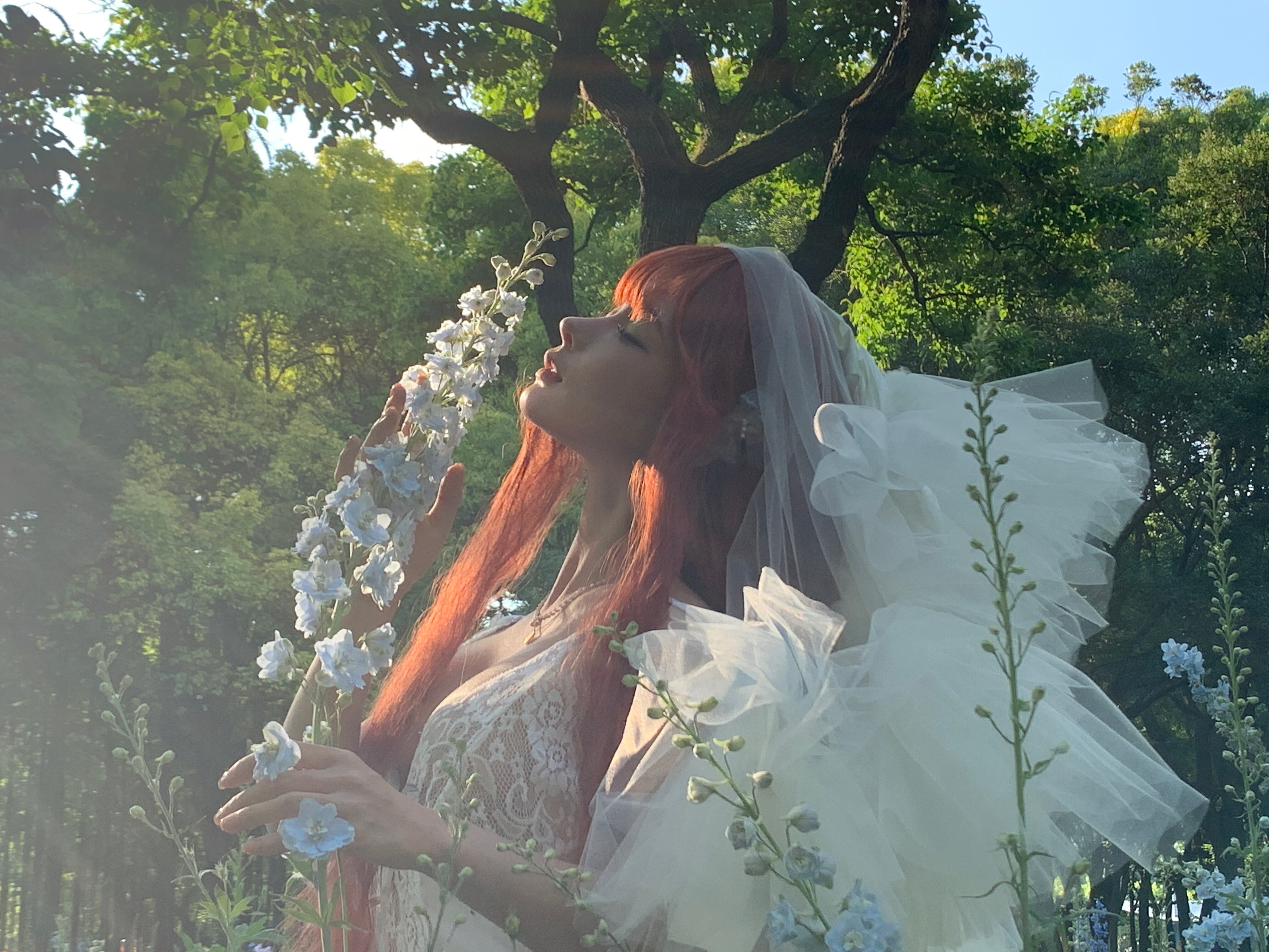 蠢沫沫 - 花叢婚紗バカモモ - カザグルンコンサ