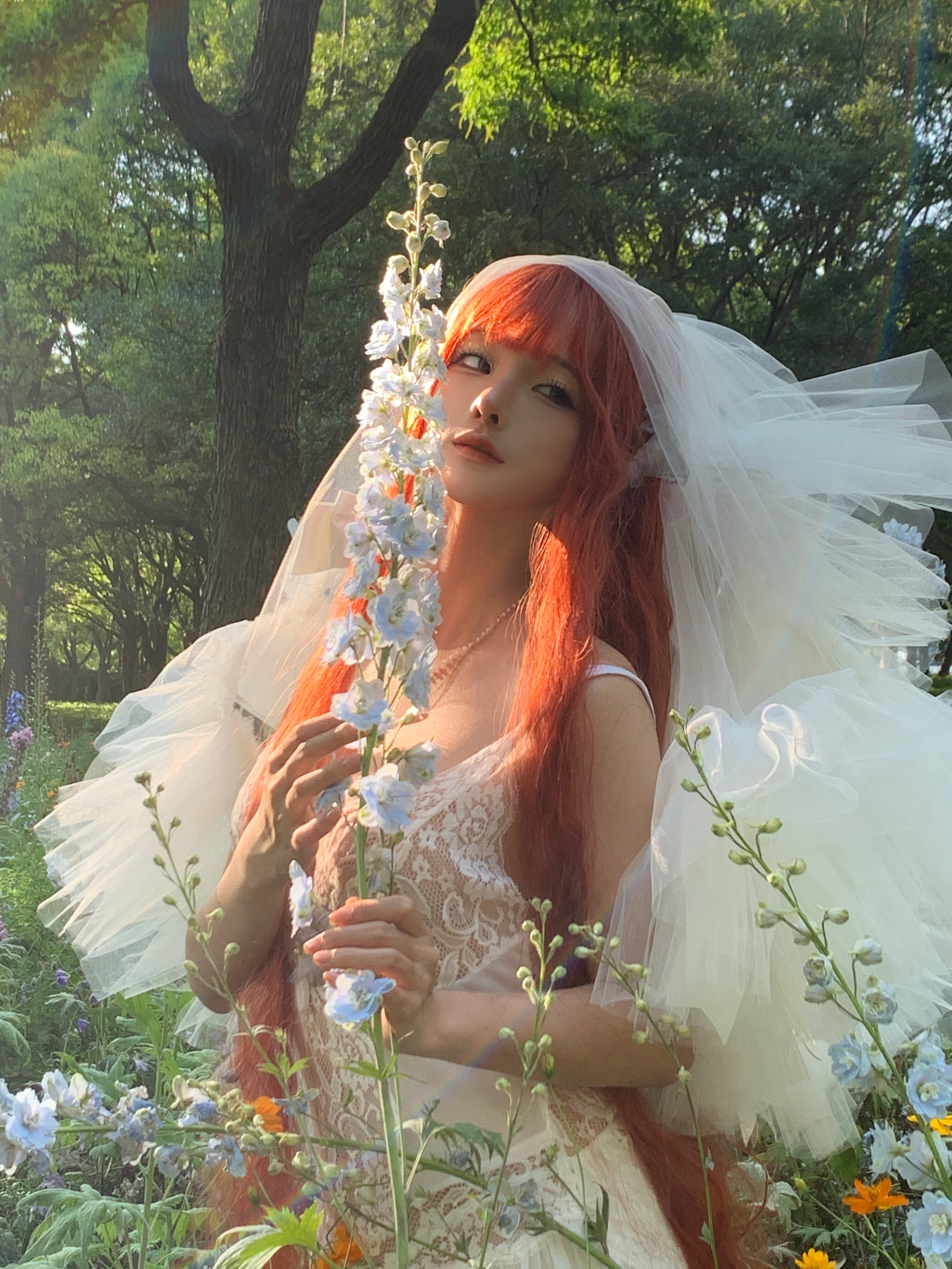 蠢沫沫 - 花叢婚紗バカモモ - カザグルンコンサ