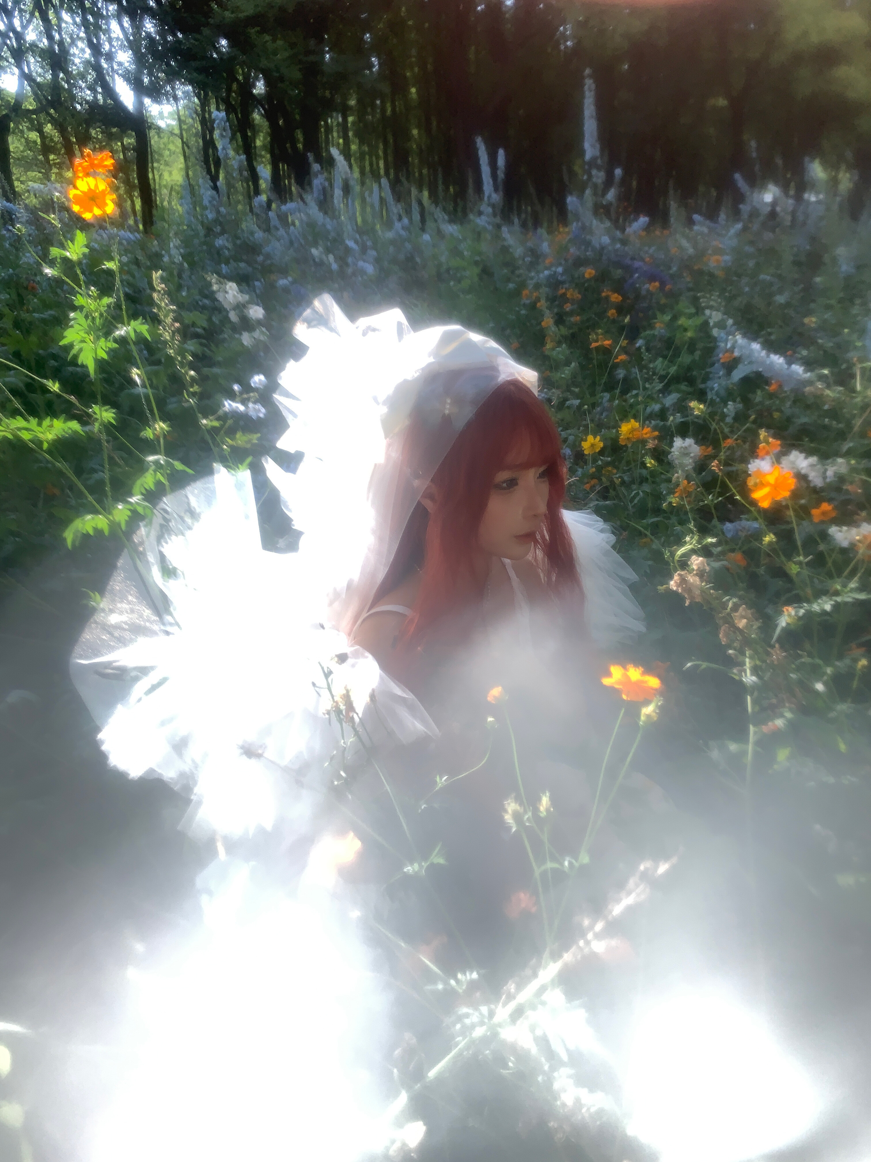 蠢沫沫 - 花叢婚紗バカモモ - カザグルンコンサ