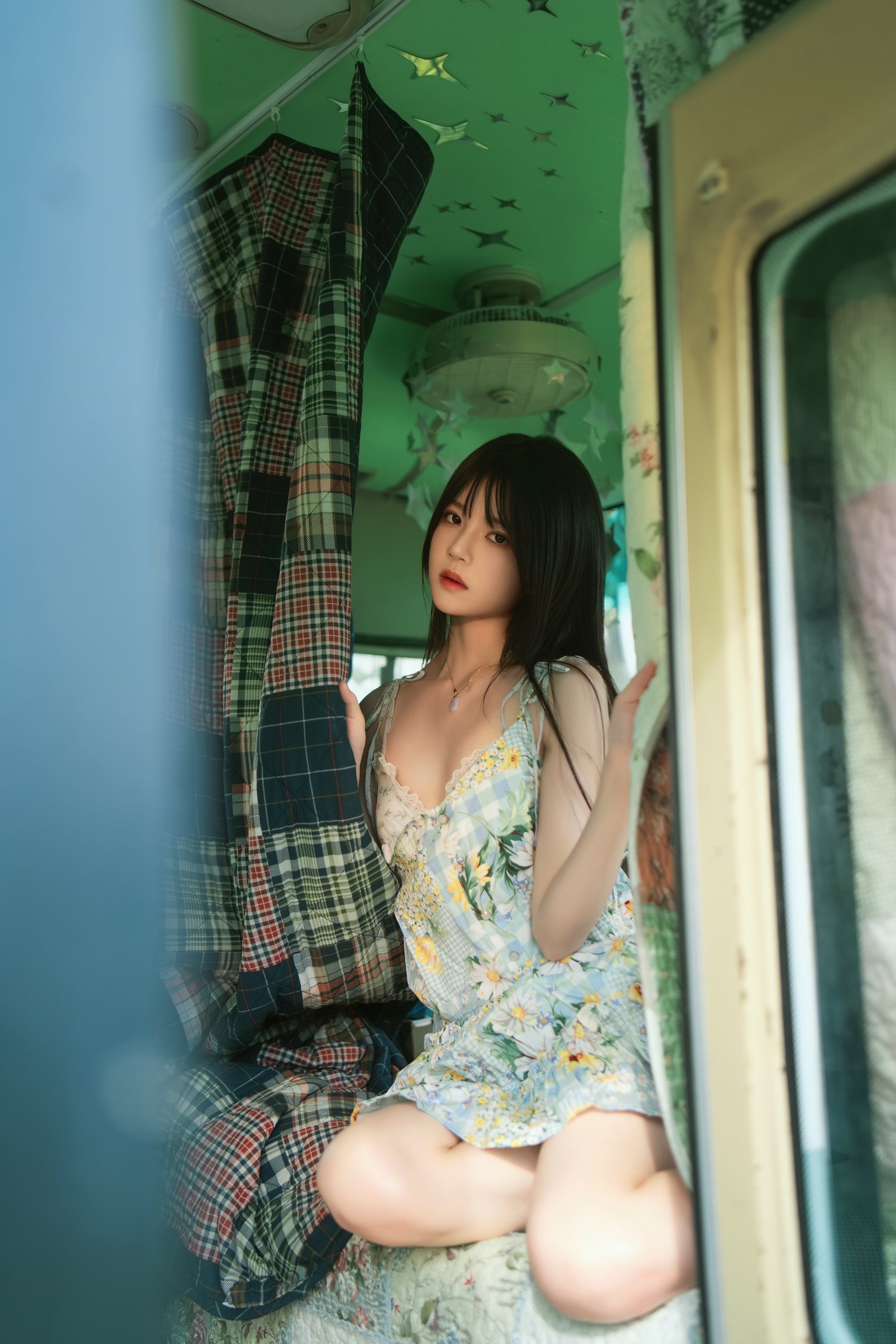 벚꽃 고양이 - 葵 55P