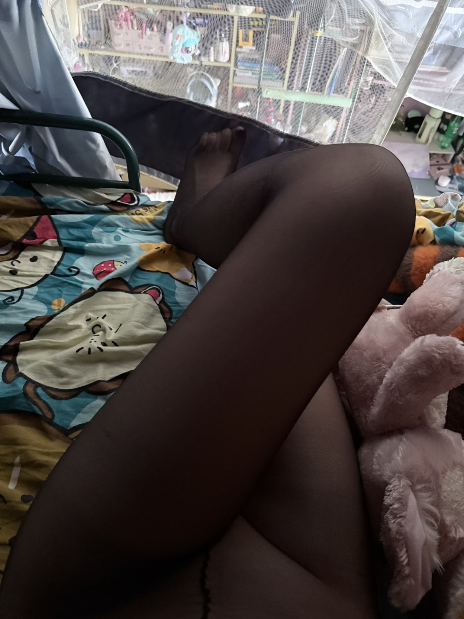 Gululu - 2004-Born College Student