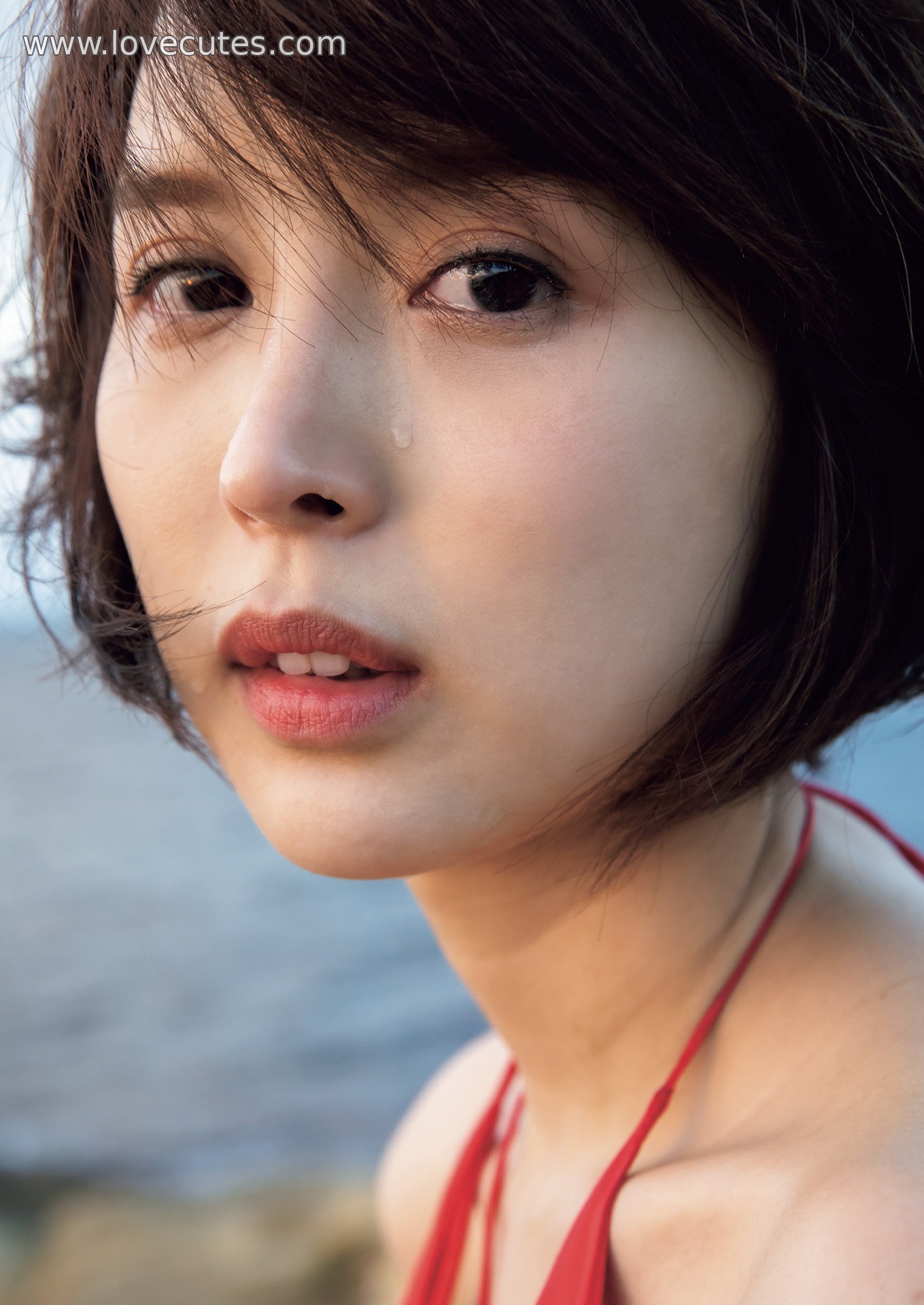 モデル] 葵つかさ - 完全版写真集：自然光の中で柔らかく清新な魅力を表現した200ページの個人作品集