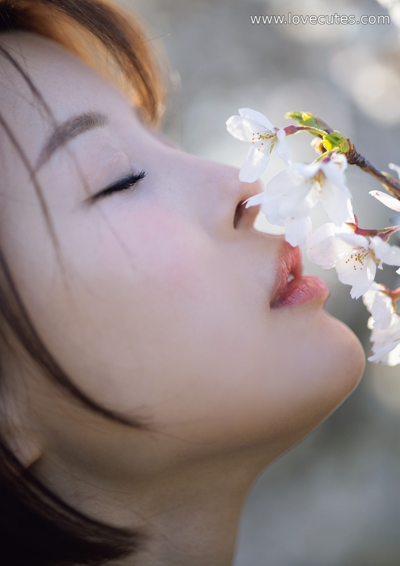 モデル] 葵つかさ - 完全版写真集：自然光の中で柔らかく清新な魅力を表現した200ページの個人作品集
