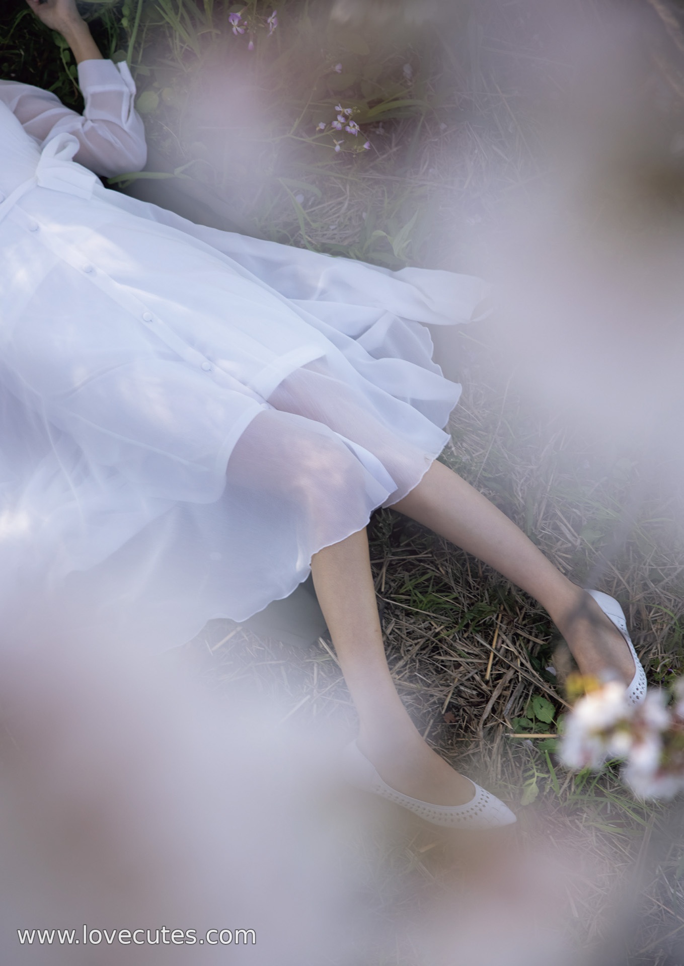 モデル] 葵つかさ - 完全版写真集：自然光の中で柔らかく清新な魅力を表現した200ページの個人作品集