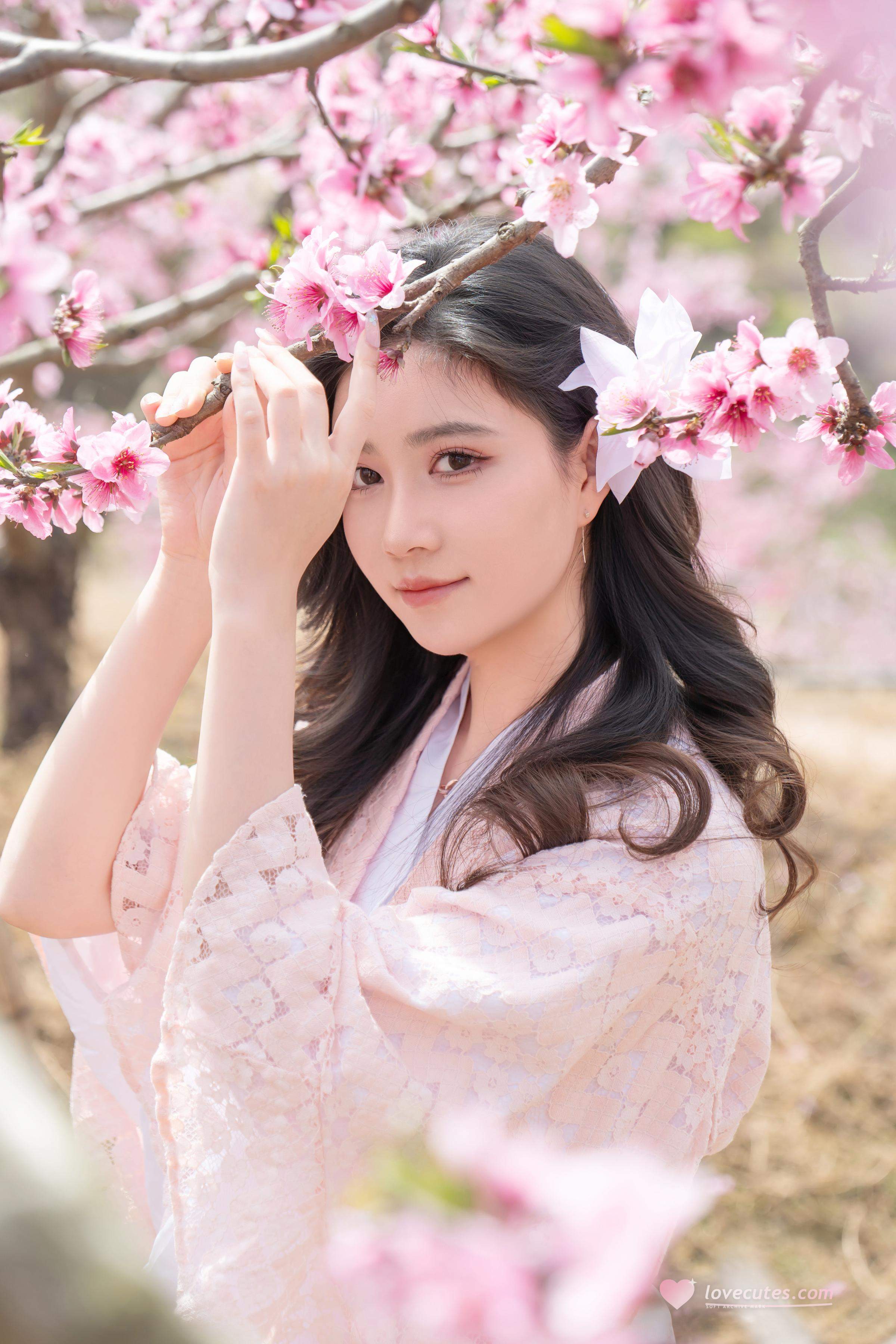 [私房] ปีต่อปี Nnian - ม่านดอกไม้: การผสมผสานระหว่างบรรยากาศโบราณซากุระและสไตล์ญี่ปุ่นในฉากที่ละเอียดอ่อน 86P