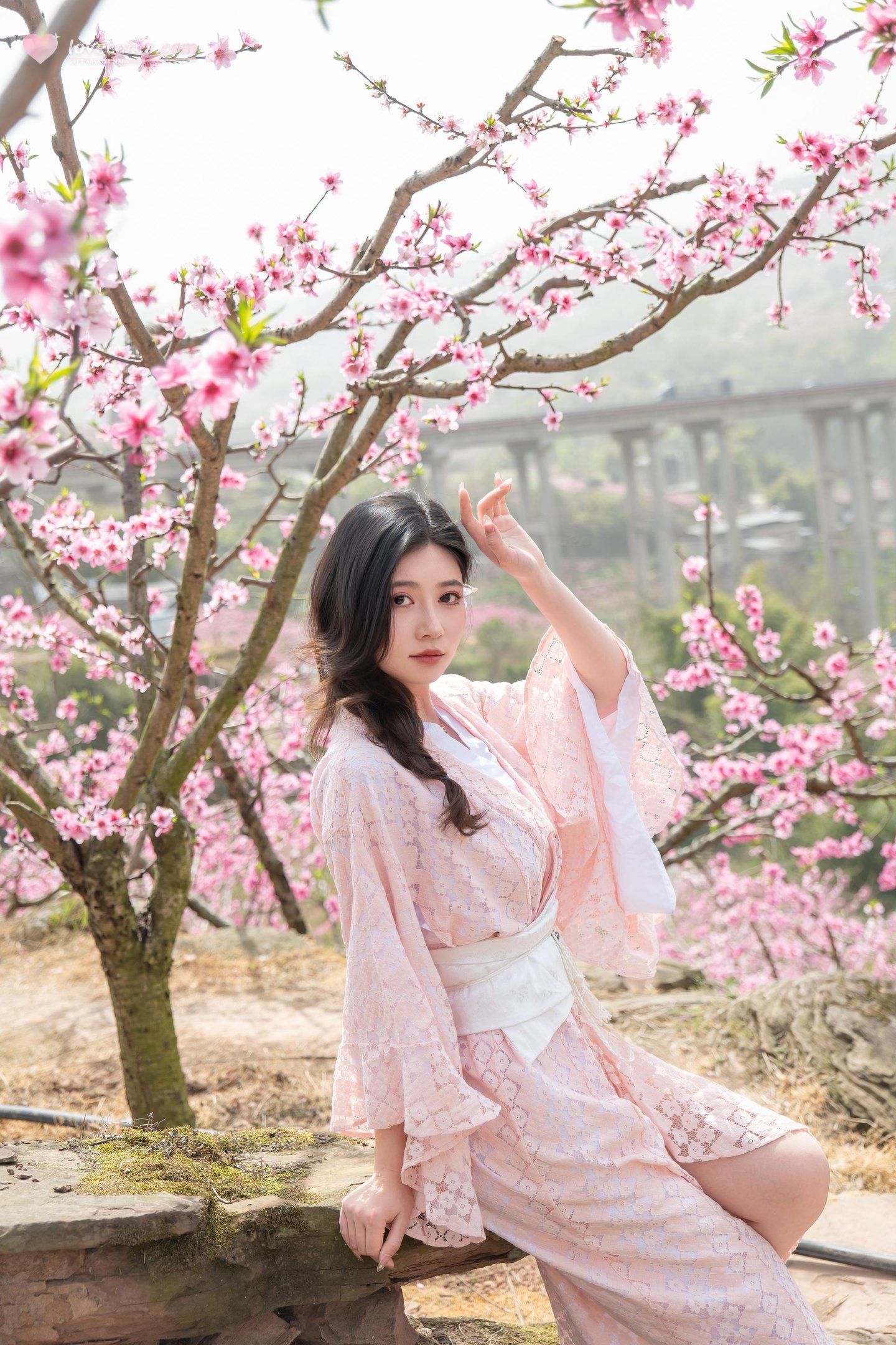 [私房] ปีต่อปี Nnian - ม่านดอกไม้: การผสมผสานระหว่างบรรยากาศโบราณซากุระและสไตล์ญี่ปุ่นในฉากที่ละเอียดอ่อน 86P