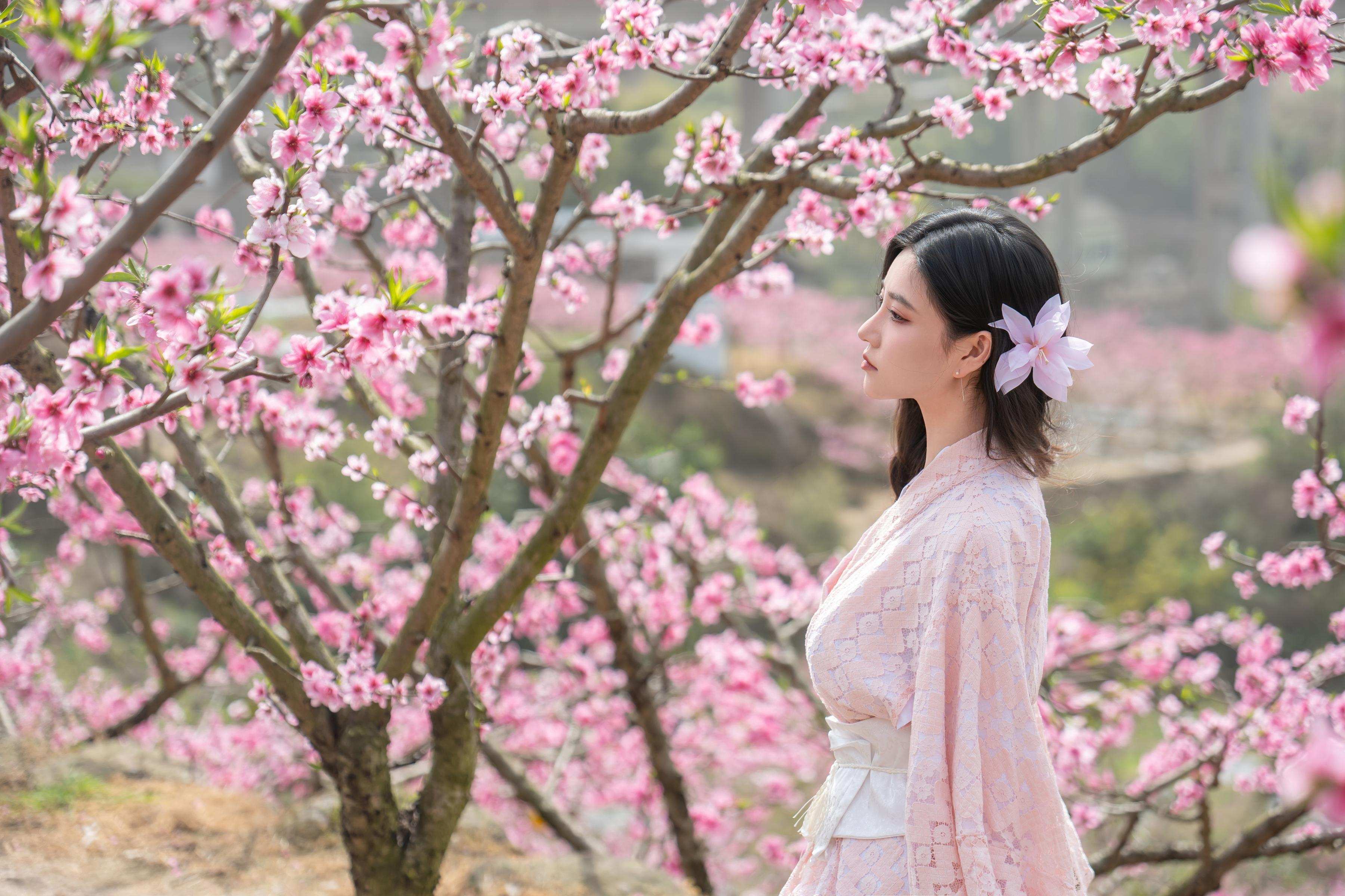[私房] ปีต่อปี Nnian - ม่านดอกไม้: การผสมผสานระหว่างบรรยากาศโบราณซากุระและสไตล์ญี่ปุ่นในฉากที่ละเอียดอ่อน 86P