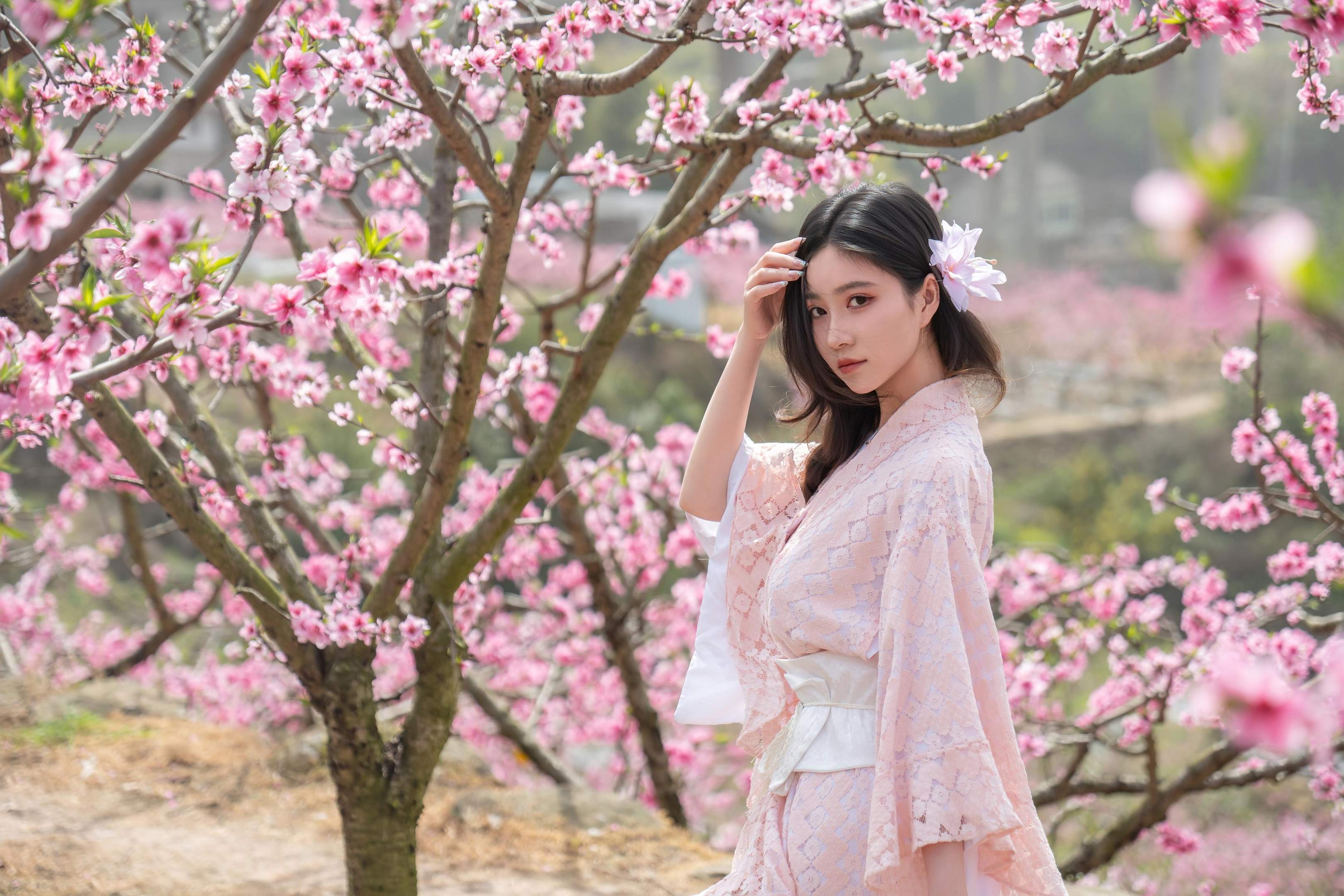 [私房] ปีต่อปี Nnian - ม่านดอกไม้: การผสมผสานระหว่างบรรยากาศโบราณซากุระและสไตล์ญี่ปุ่นในฉากที่ละเอียดอ่อน 86P