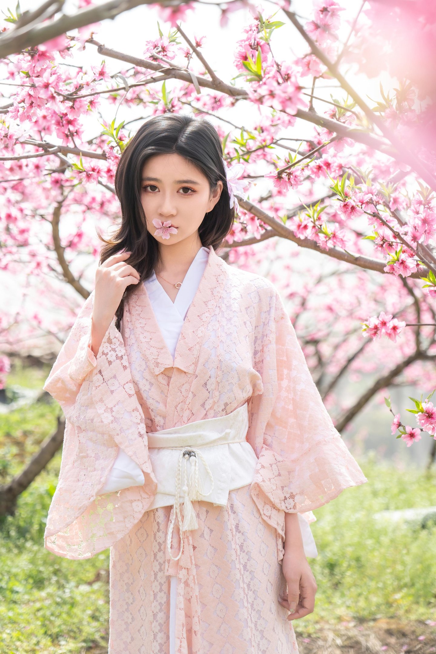 [私房] ปีต่อปี Nnian - ม่านดอกไม้: การผสมผสานระหว่างบรรยากาศโบราณซากุระและสไตล์ญี่ปุ่นในฉากที่ละเอียดอ่อน 86P