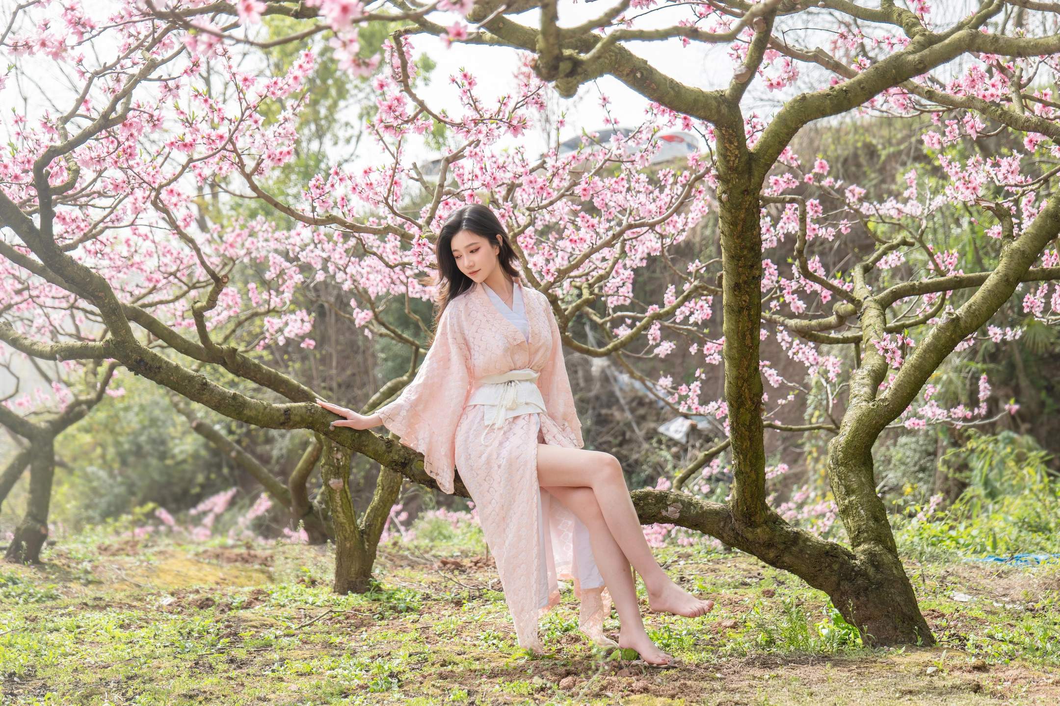 [私房] 年年Nnian - 漫花：櫻花古風外景與和風私房交織 柔美氛圍下的大尺度呈現 86P