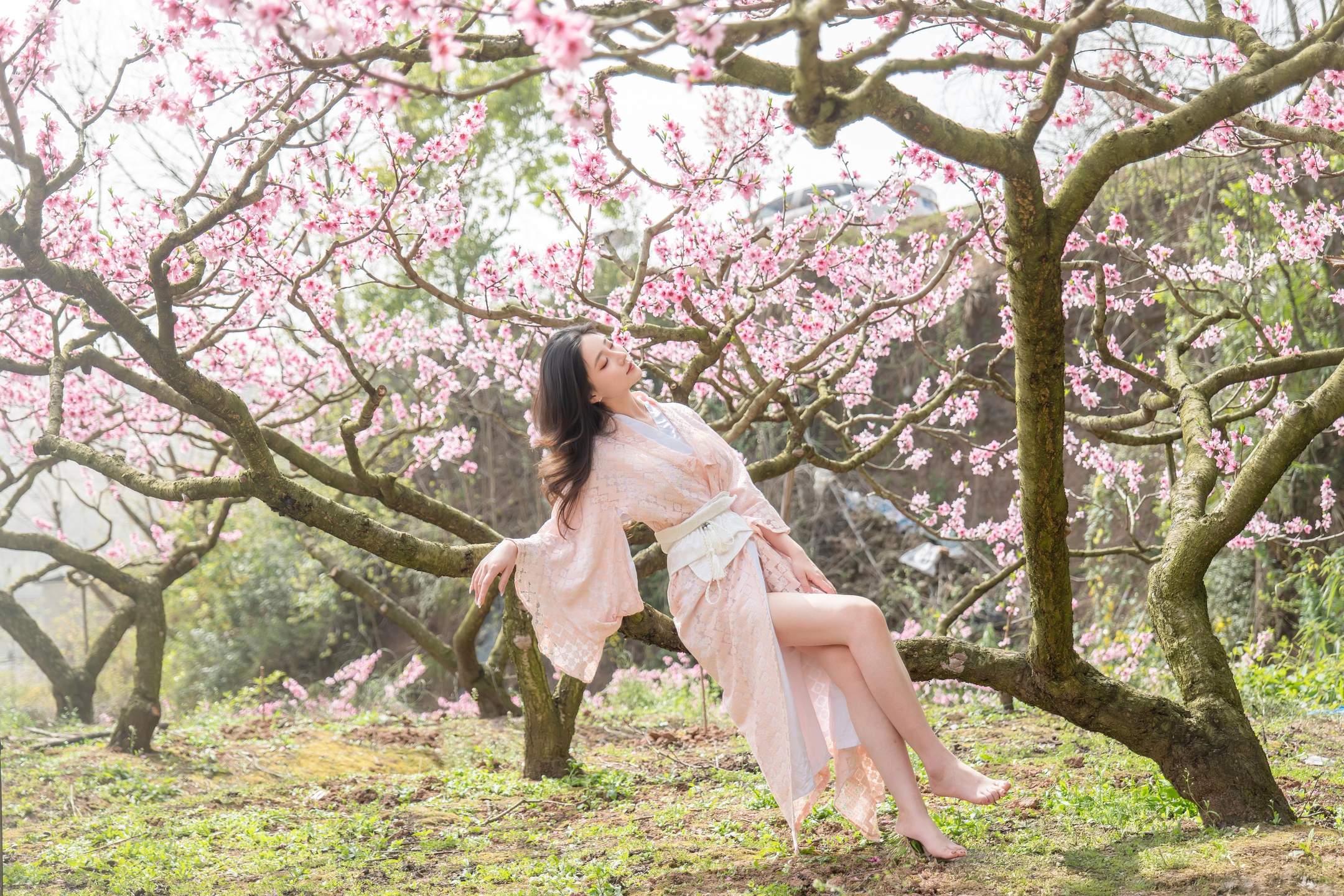 [私房] 年年Nnian - 漫花：櫻花古風外景與和風私房交織 柔美氛圍下的大尺度呈現 86P
