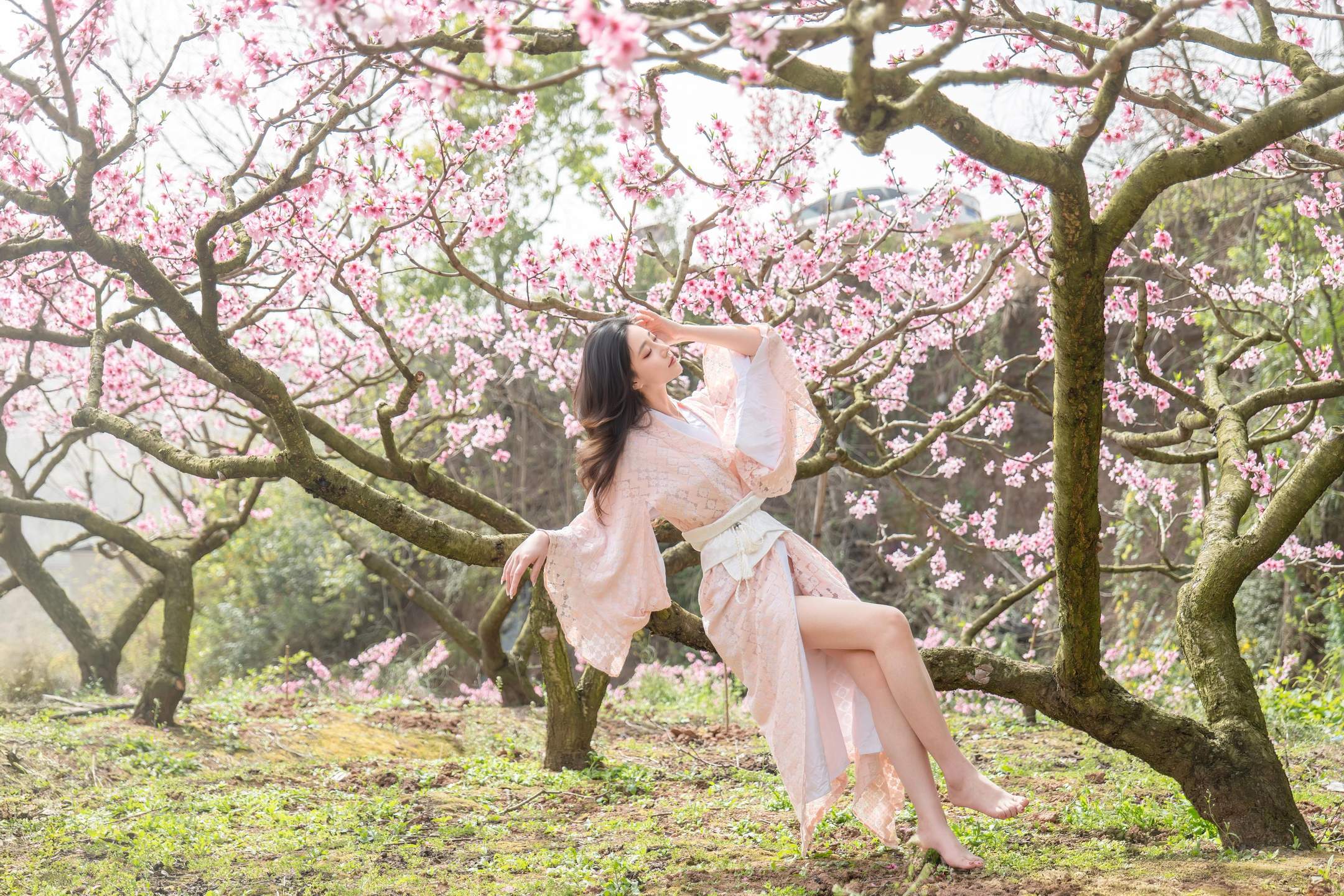 [私房] 年年Nnian - 漫花：櫻花古風外景與和風私房交織 柔美氛圍下的大尺度呈現 86P