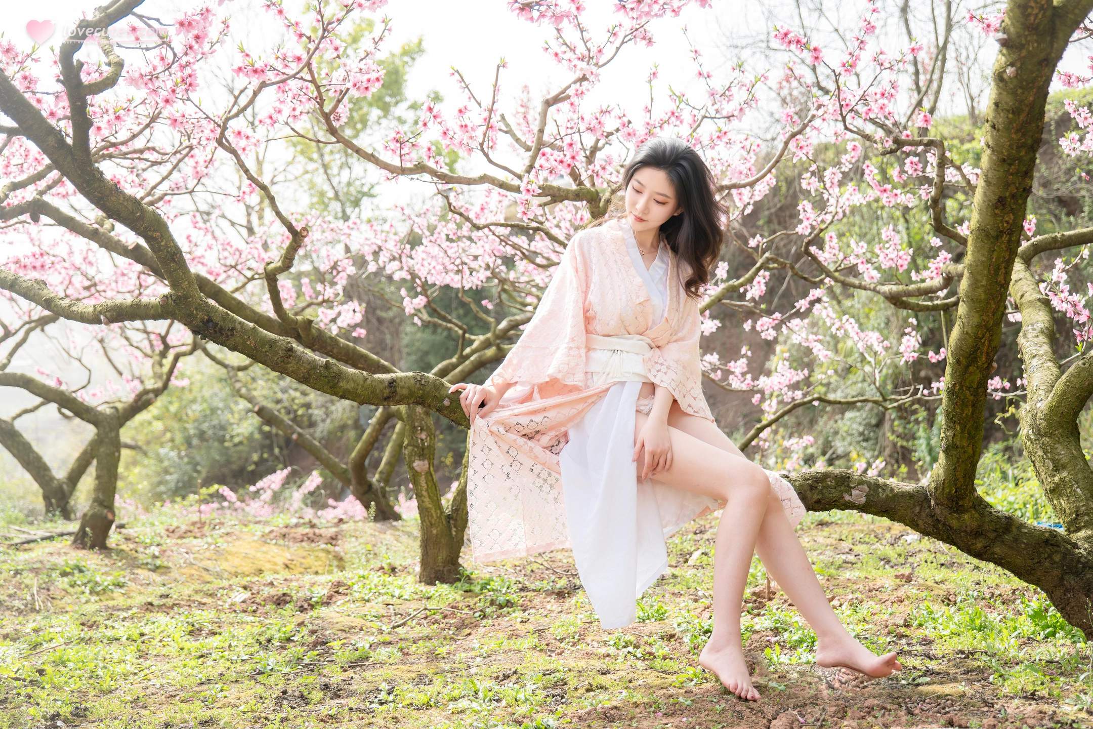 [私房] 年年Nnian - 漫花：櫻花古風外景與和風私房交織 柔美氛圍下的大尺度呈現 86P