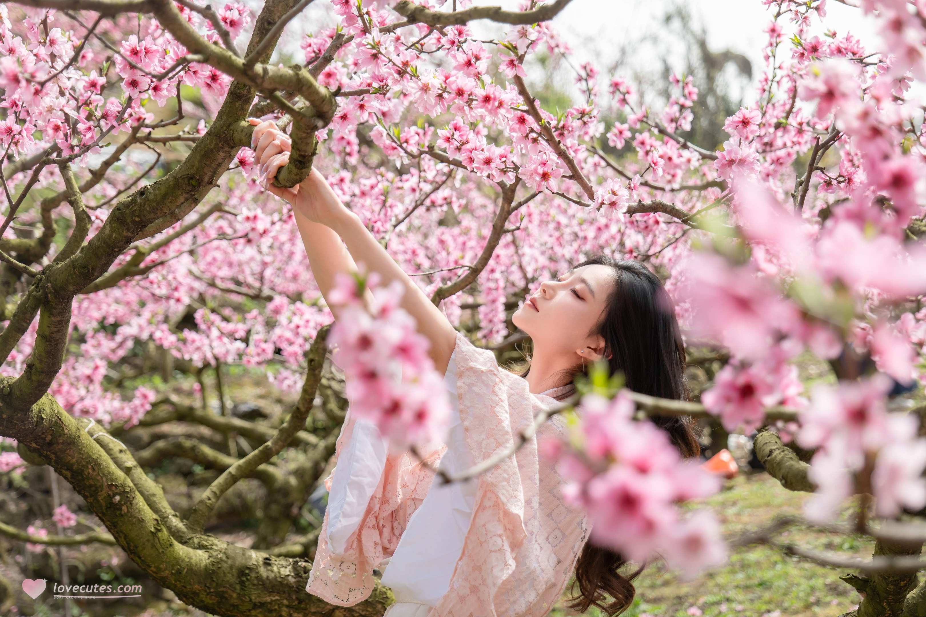 [私房] 年年Nnian - 漫花：櫻花古風外景與和風私房交織 柔美氛圍下的大尺度呈現 86P