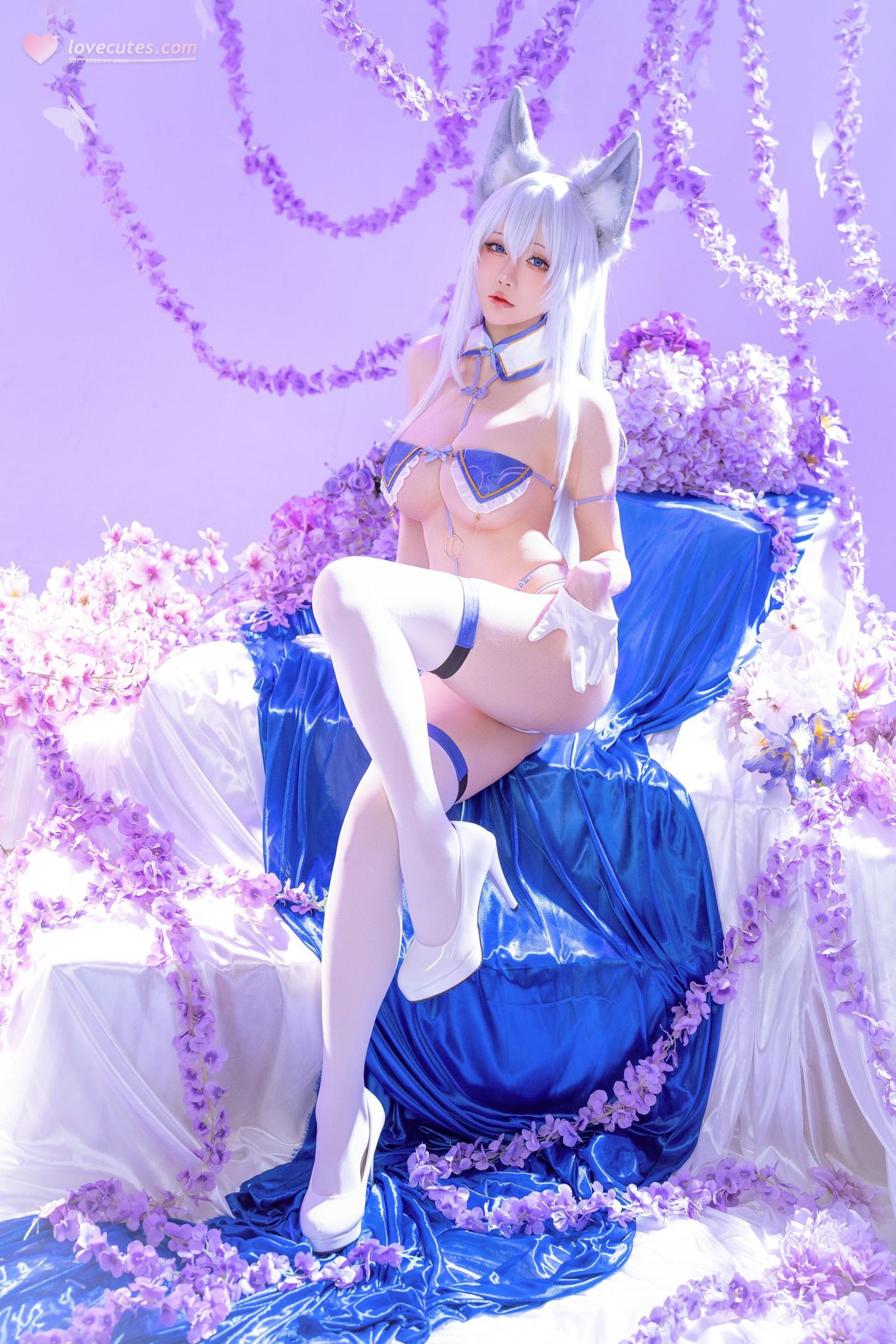 [Cosplay] Hoshilily - Shinohō from Azur Lane: Fox-Eared, White-Haired in Blue and White Outfit, Stunning 60P