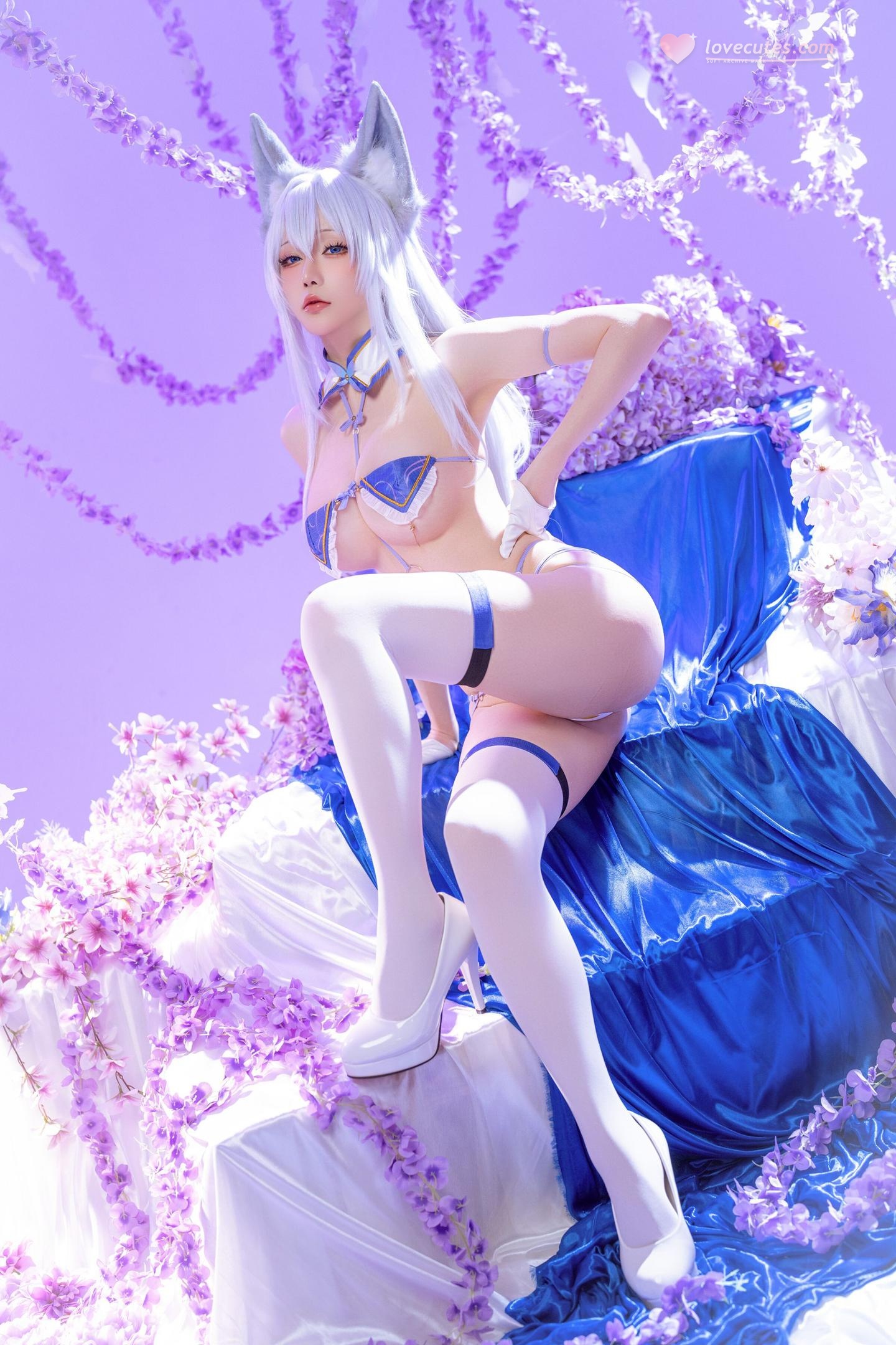 [Cosplay] Hoshilily - Shinohō from Azur Lane: Fox-Eared, White-Haired in Blue and White Outfit, Stunning 60P