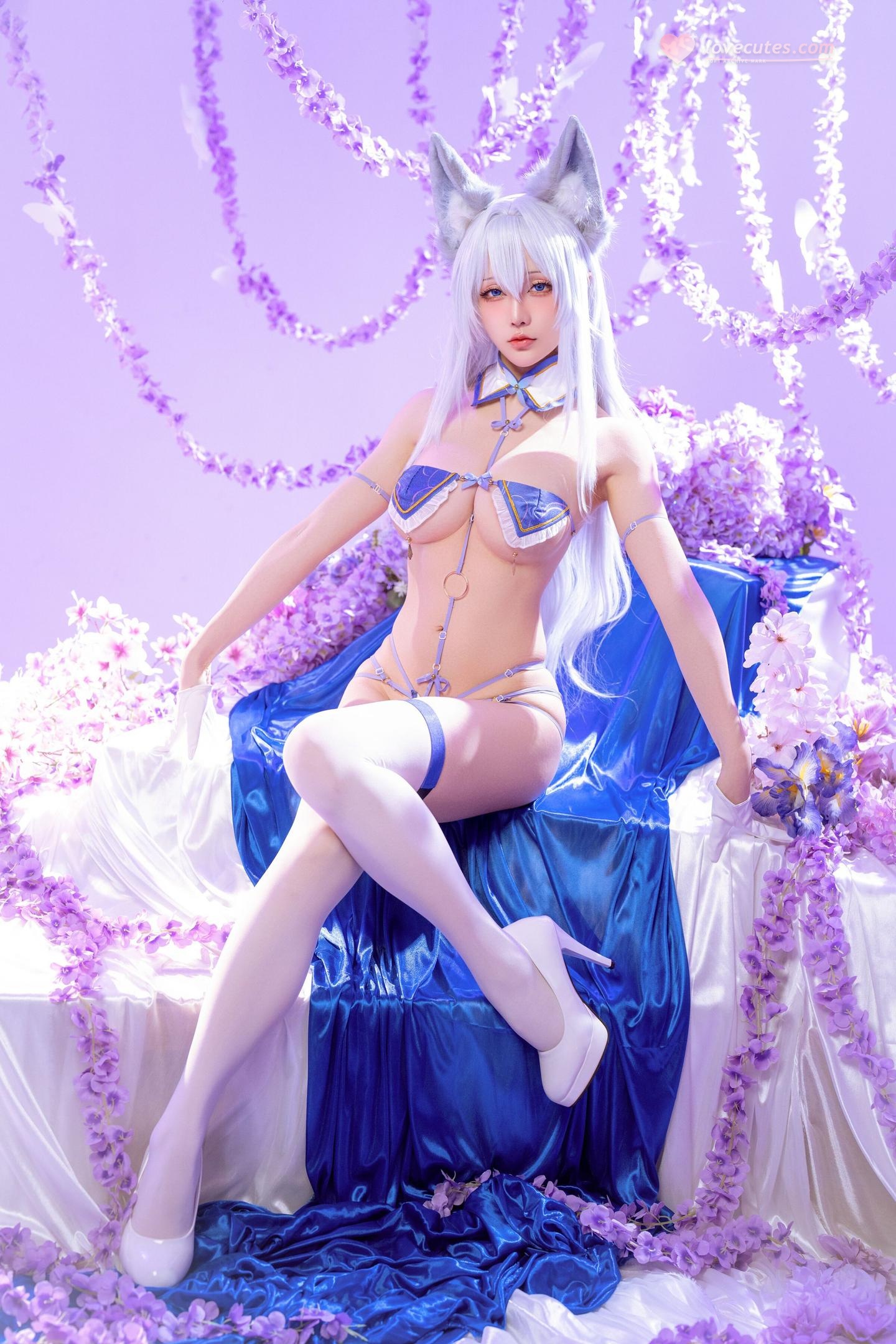 [Cosplay] Hoshilily - Shinohō from Azur Lane: Fox-Eared, White-Haired in Blue and White Outfit, Stunning 60P