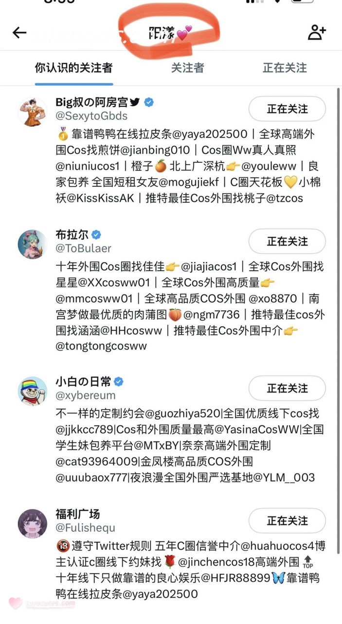 [私房] zyouiii - 金主定制猫耳メイド：自慰私撮り情趣下着大尺度 192P40V