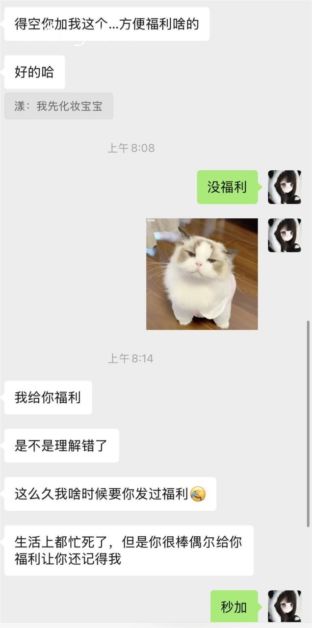 [私房] zyouiii - 金主定制猫耳女仆：自慰私拍情趣内衣大尺度 192P40V