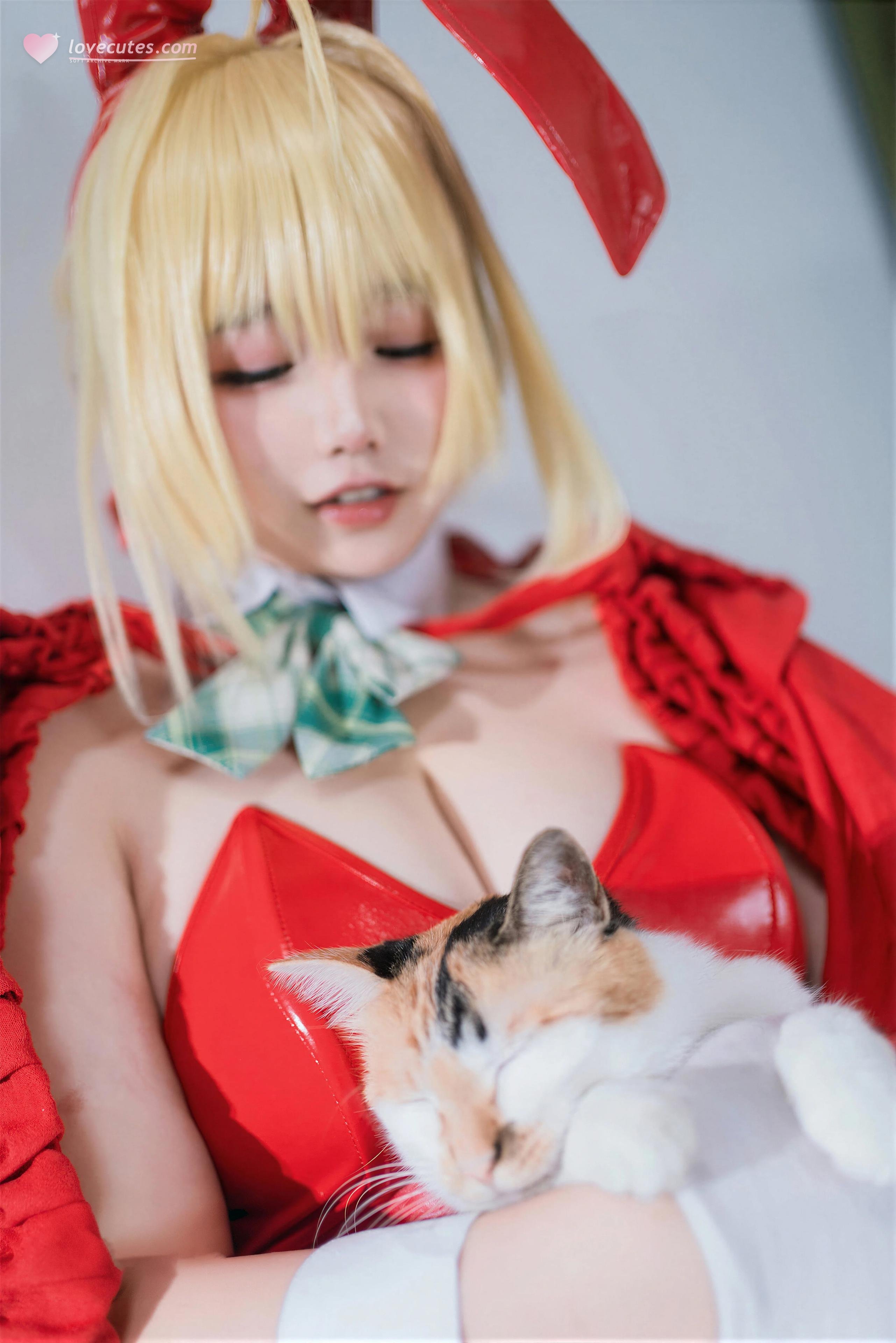 [Cosplay] Ah Ban is Very Happy Today - FGO Nero Christmas: Stunning Curves and Beautiful Legs Recreated 71P