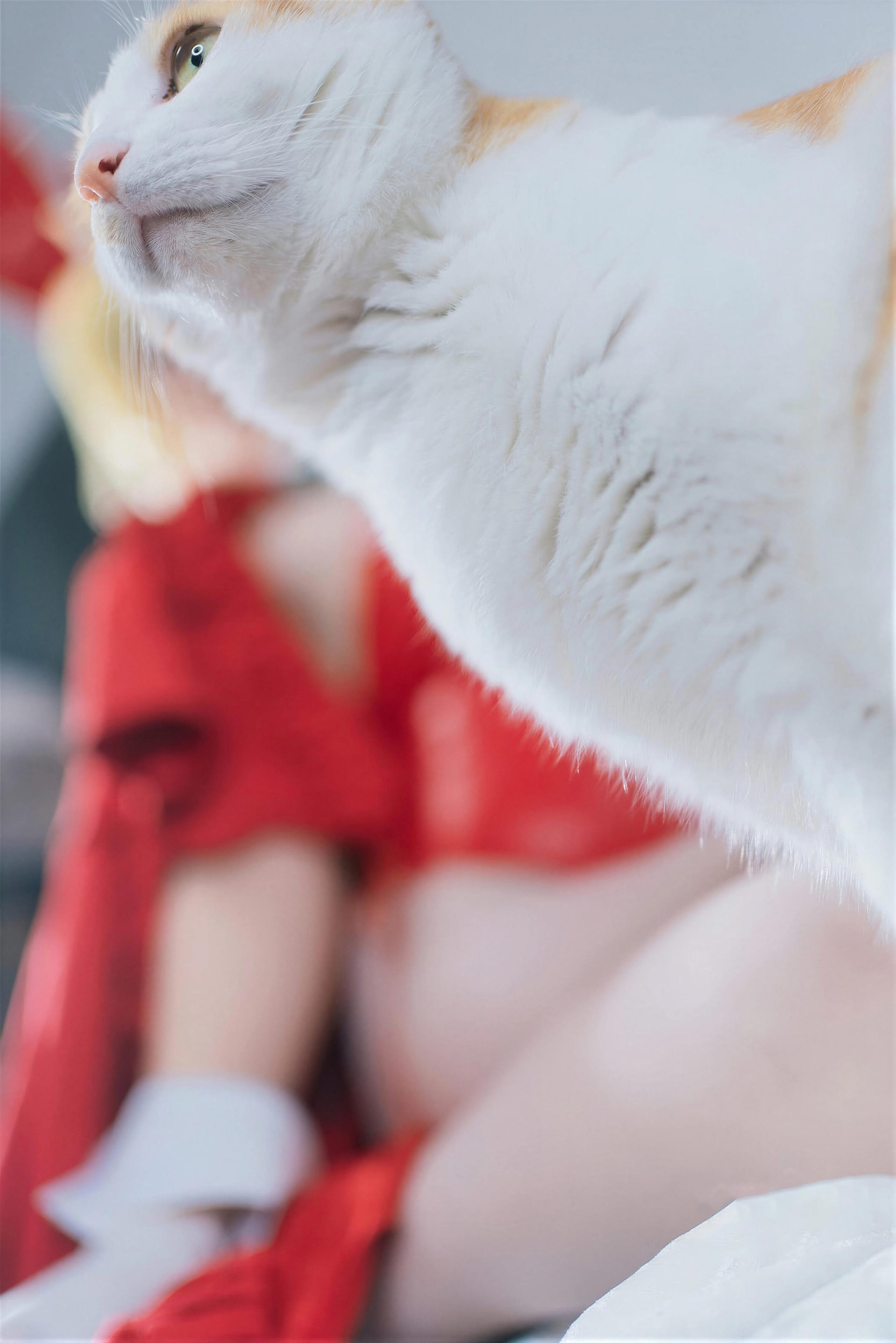'[cosplay] 阿半 hôm nay rất vui - FGO Ni Lộc Giáng Sinh: Đỏ Trắng Siêu Ngực Đẹp Chân Dài Tái Hiện 71P'