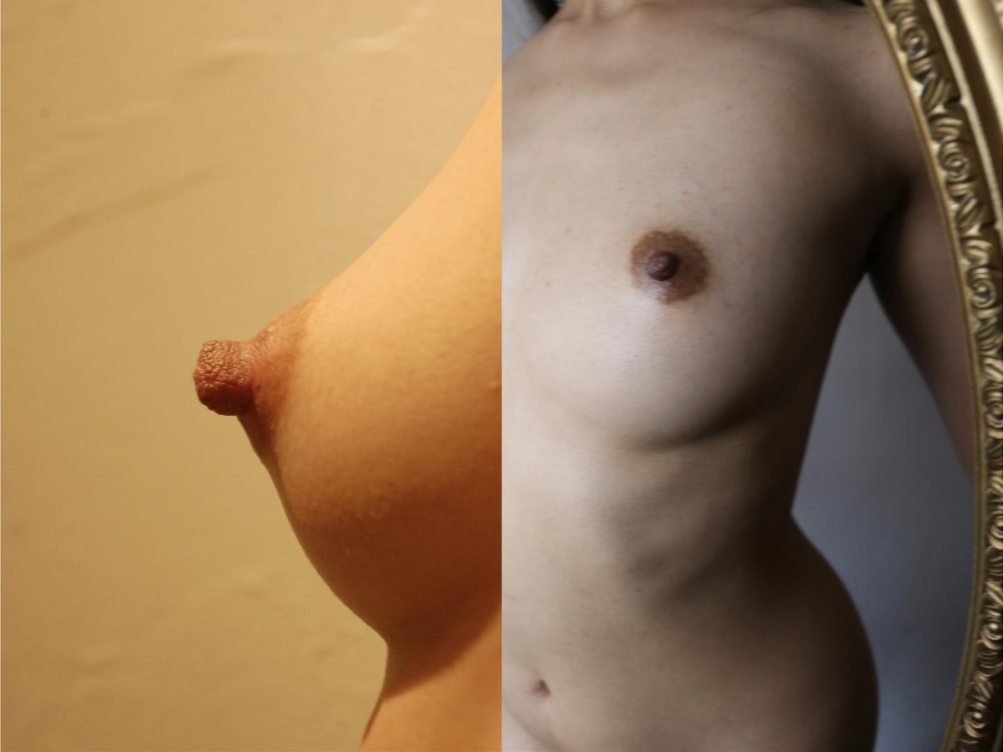 [Photo] 100 Women’s Breasts - Japanese Beautiful Bust Special Collection: Black-and-White and Color Close-Ups of Breasts 51P