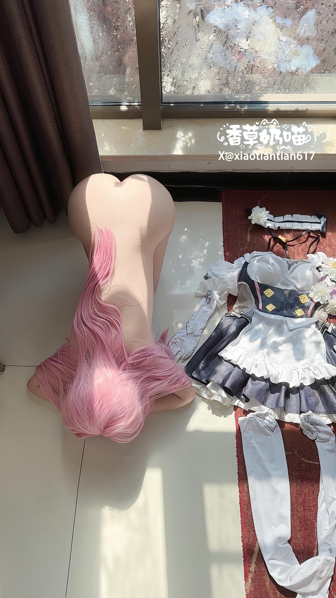 [cosplay] 香草奶喵 - 愛莉希雅女僕：角色主題寫真視頻合集 93P29V