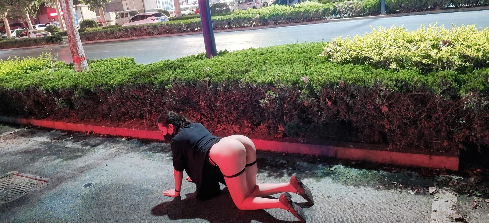 [Private] Qinger - Curvy Public Exposure Baihu Video Set 239P105V