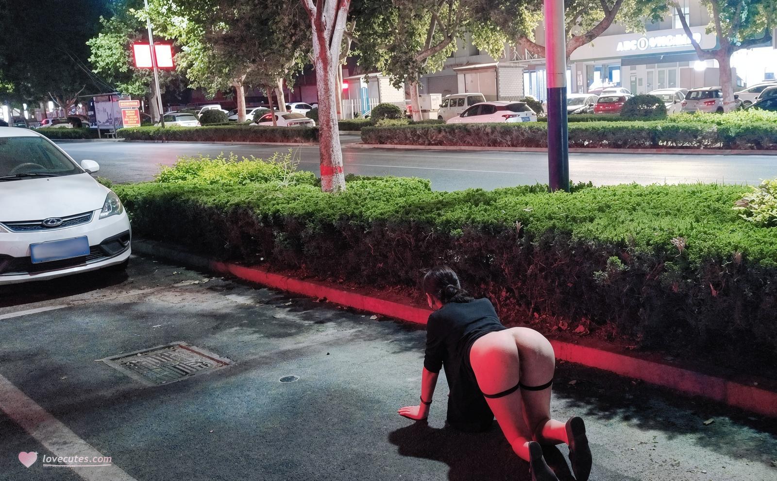 [Private] Qinger - Curvy Public Exposure Baihu Video Set 239P105V